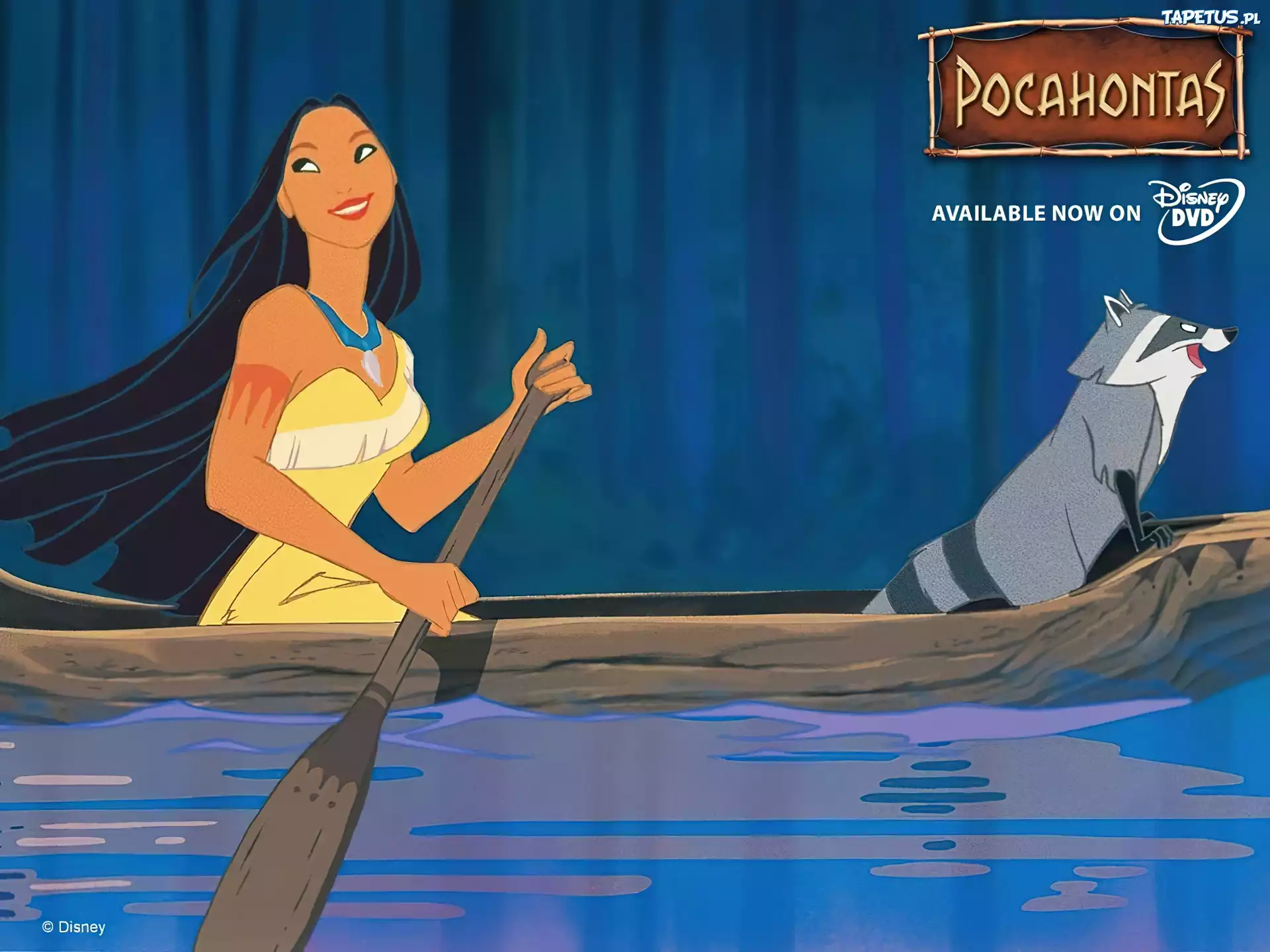 Pocahontas, kajak, szop