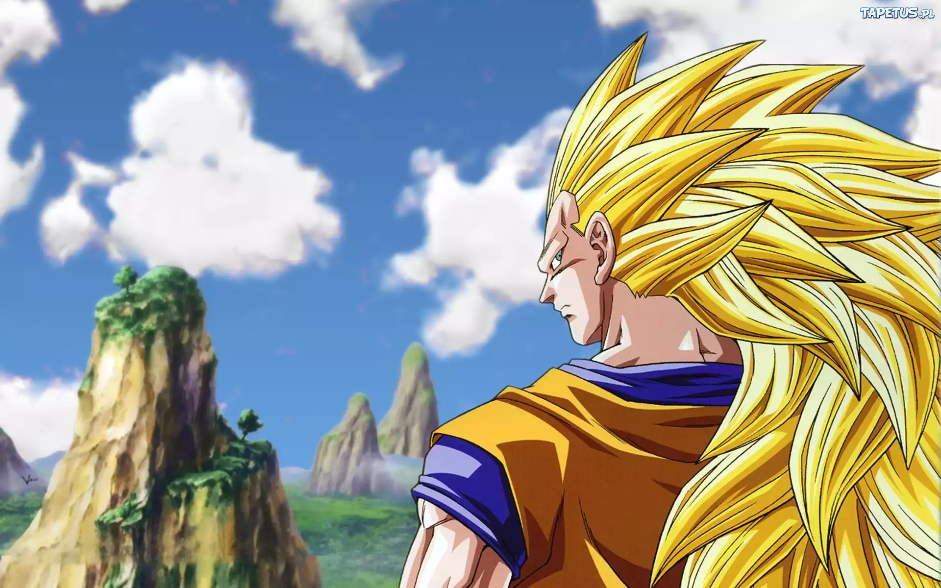 Dragon Ball Z, Son Goku