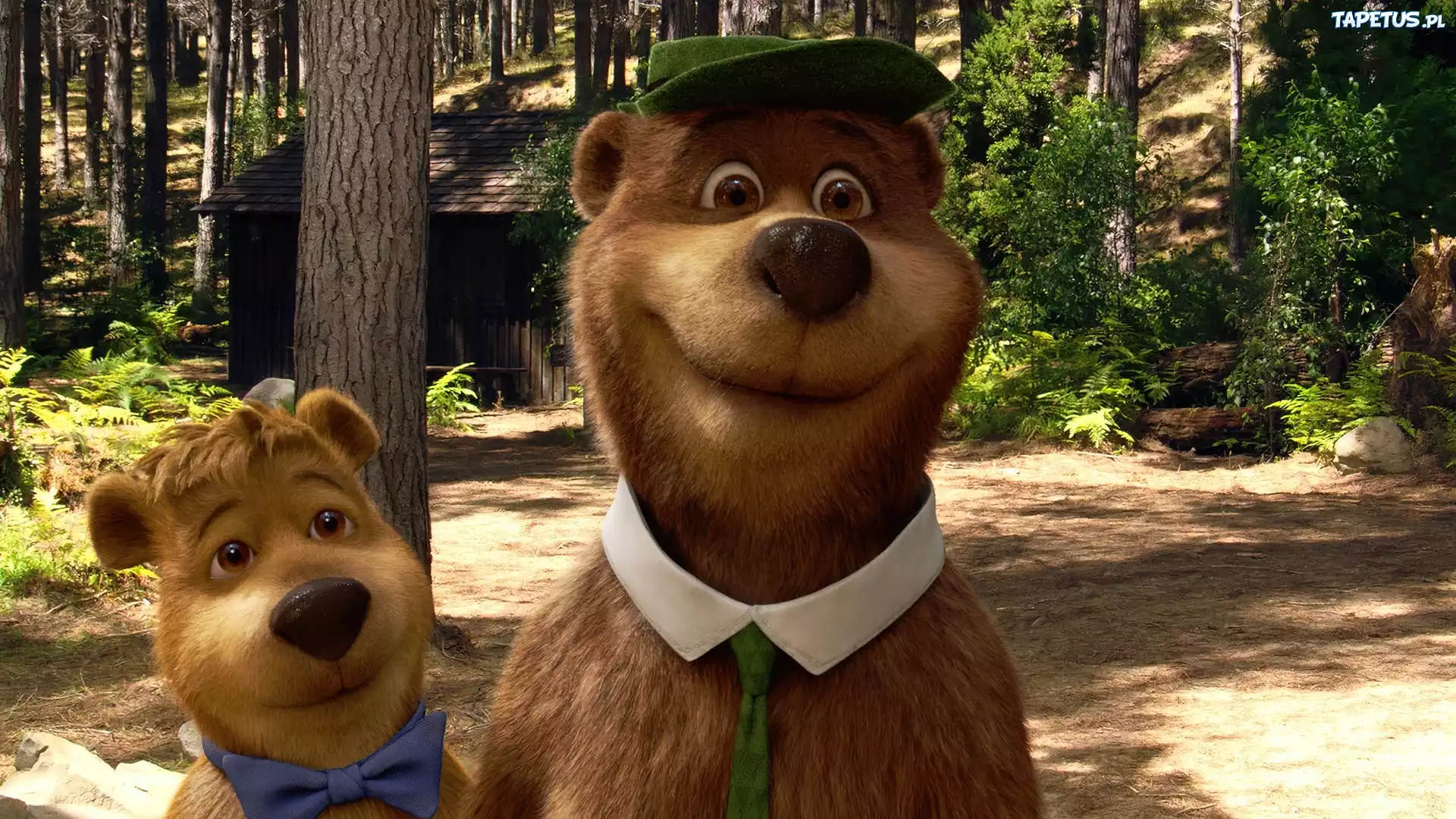 Miś Yogi 2