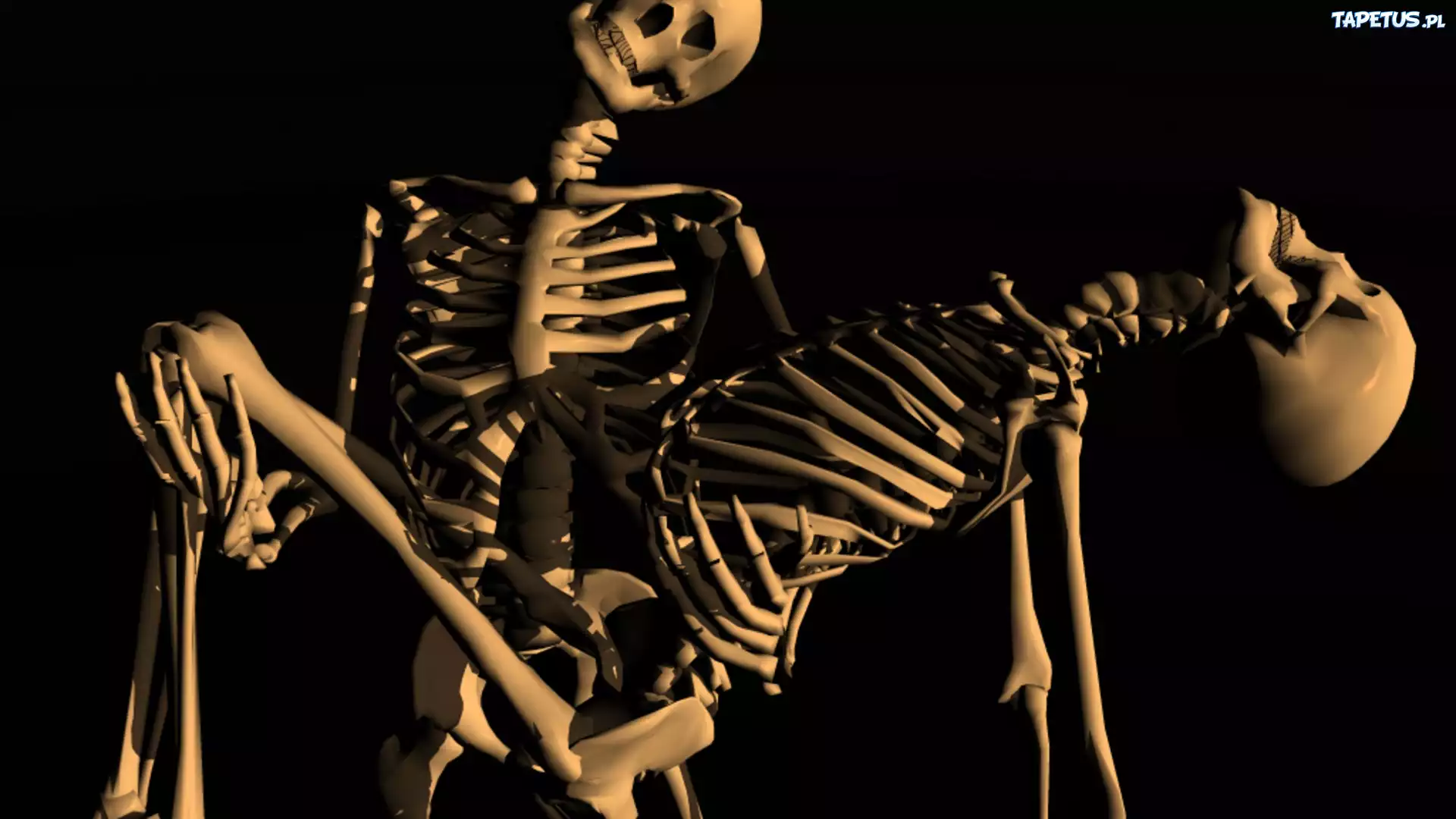 Страдающий скелет. Скелет. Человеческий скелет. Скелет на черном фоне.