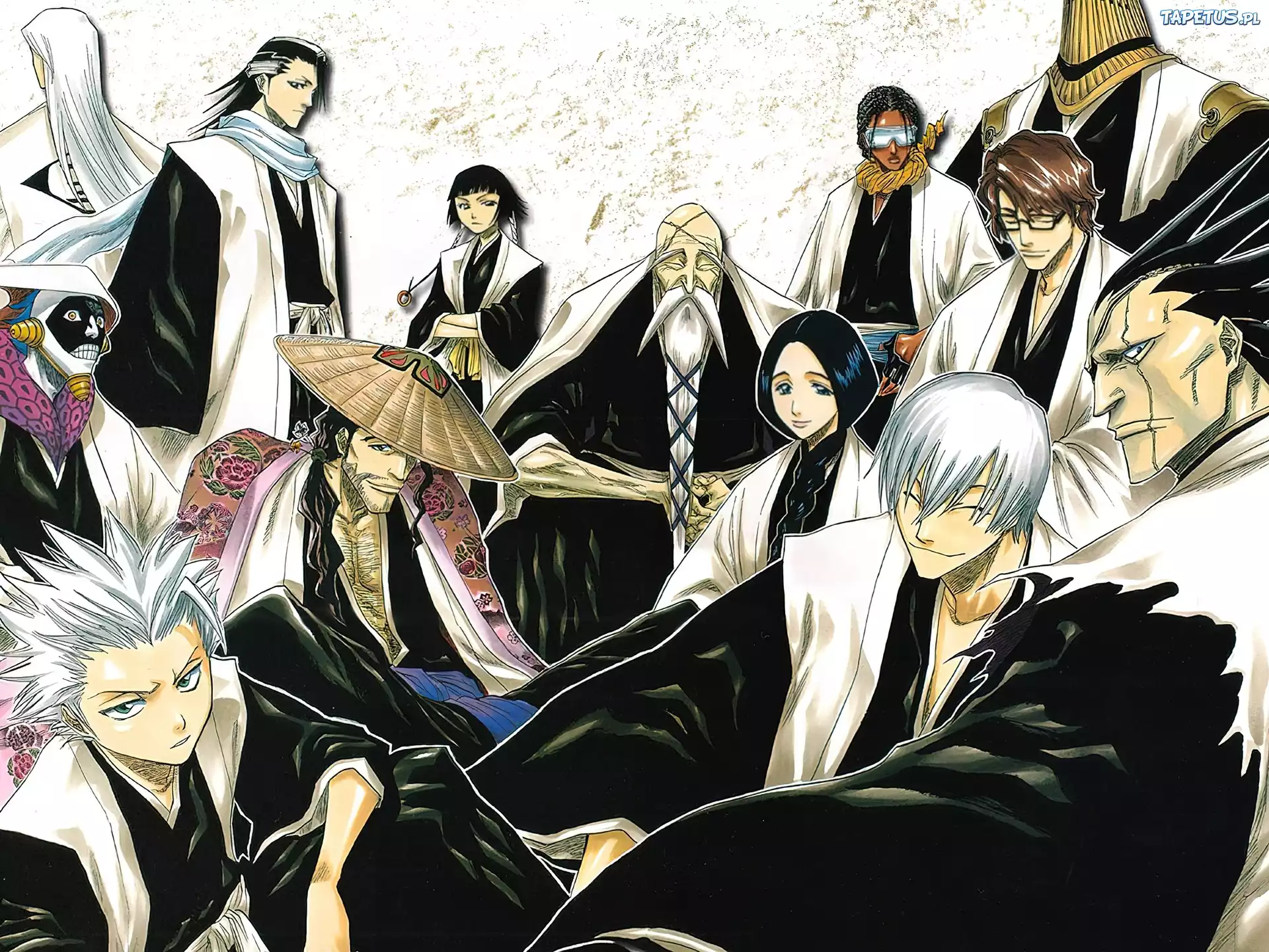 Bleach, ludzie, mistrz