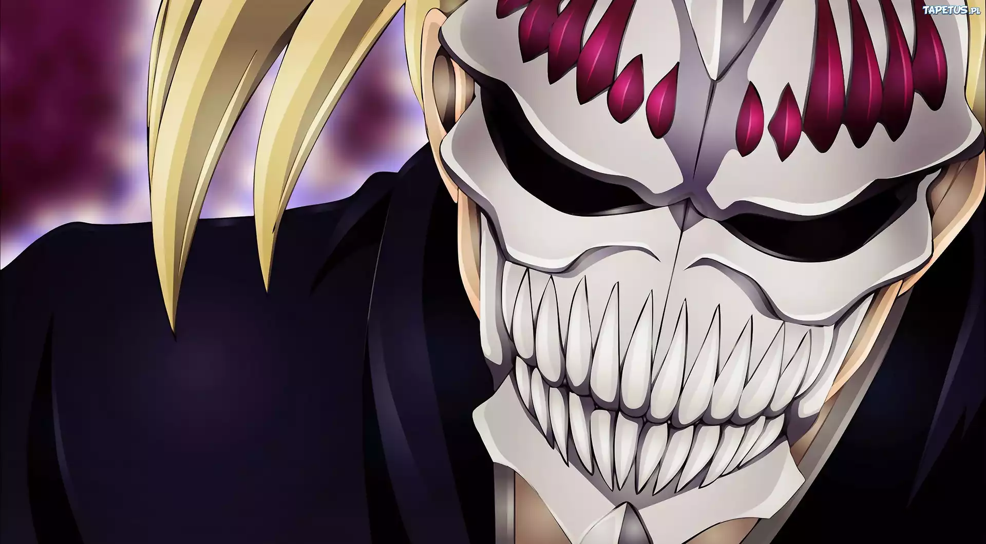 Vizard, Maska, Bleach