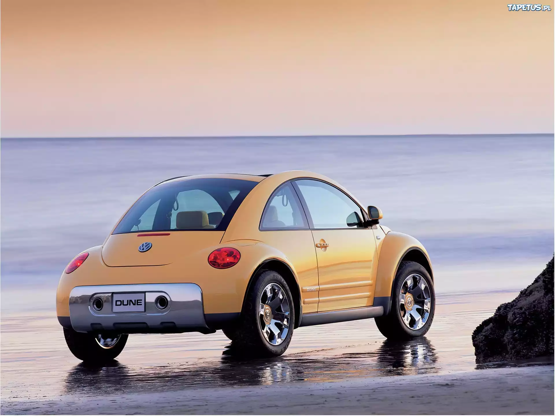 Volkswagen New Beetle