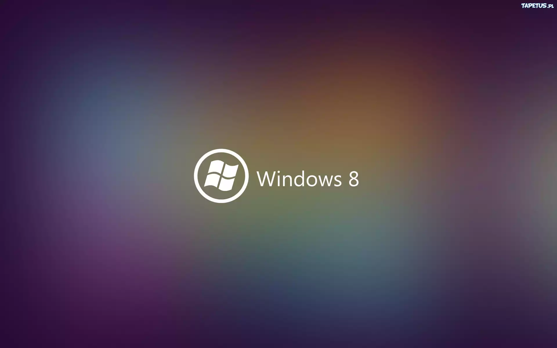 Windows 8