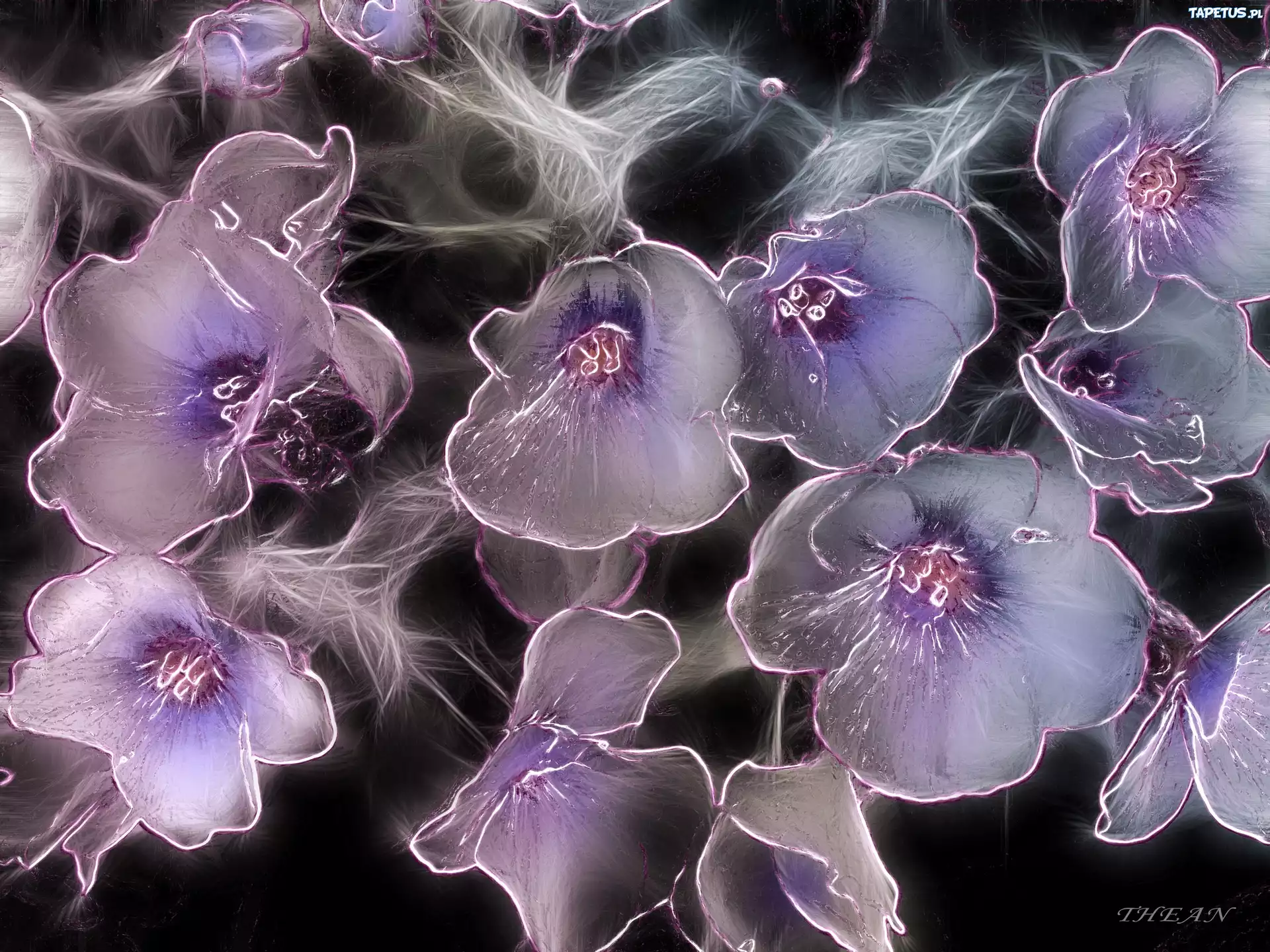 Kwiaty, Fractalius