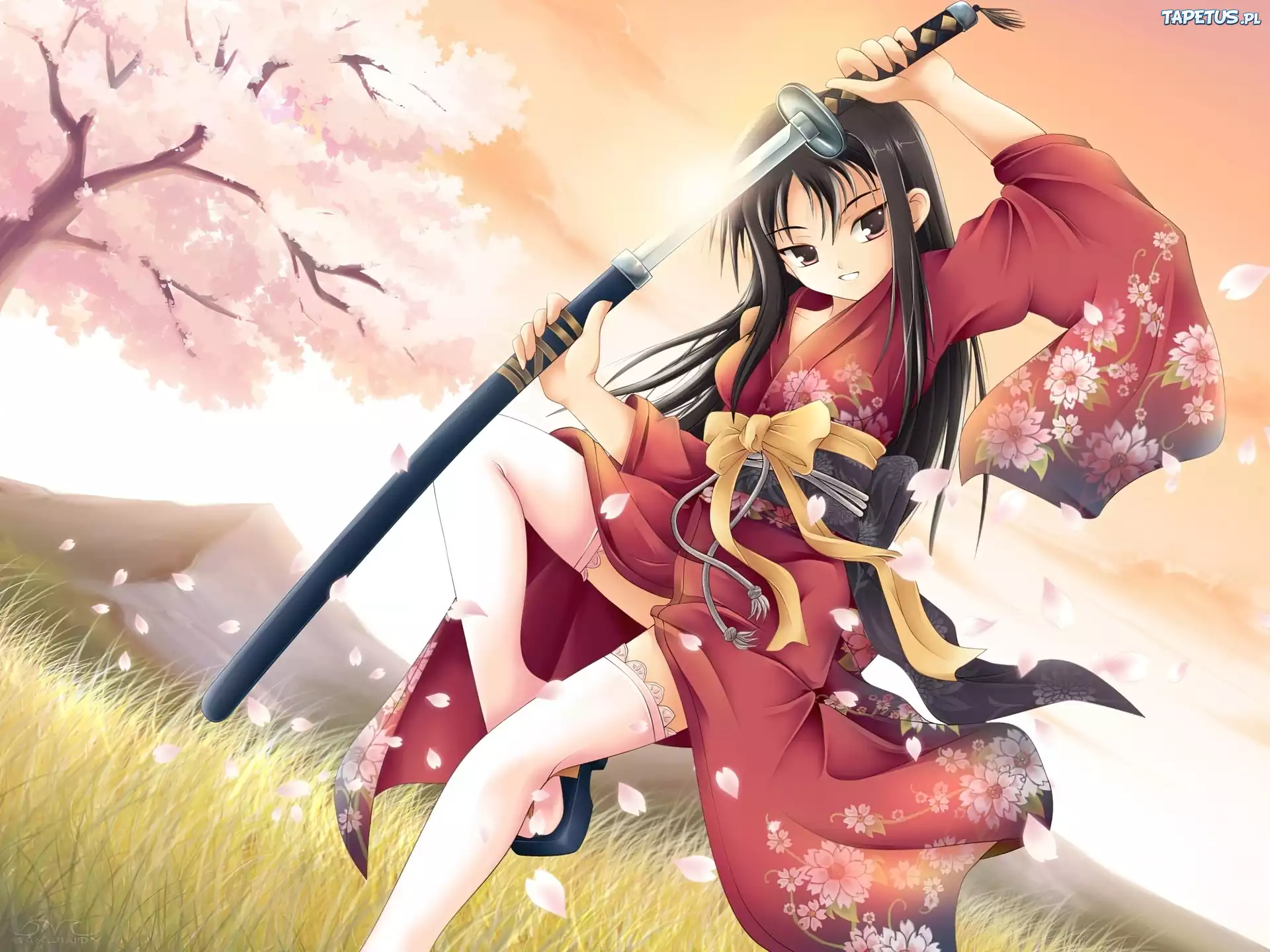 Dziewczyna, Kimono, Miecz
