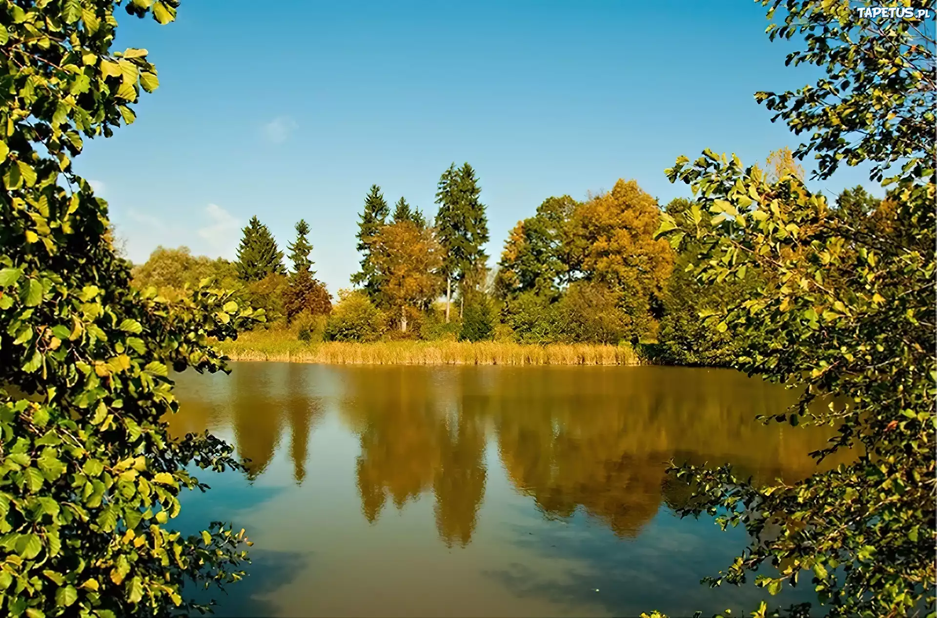Bożków, Jezioro
