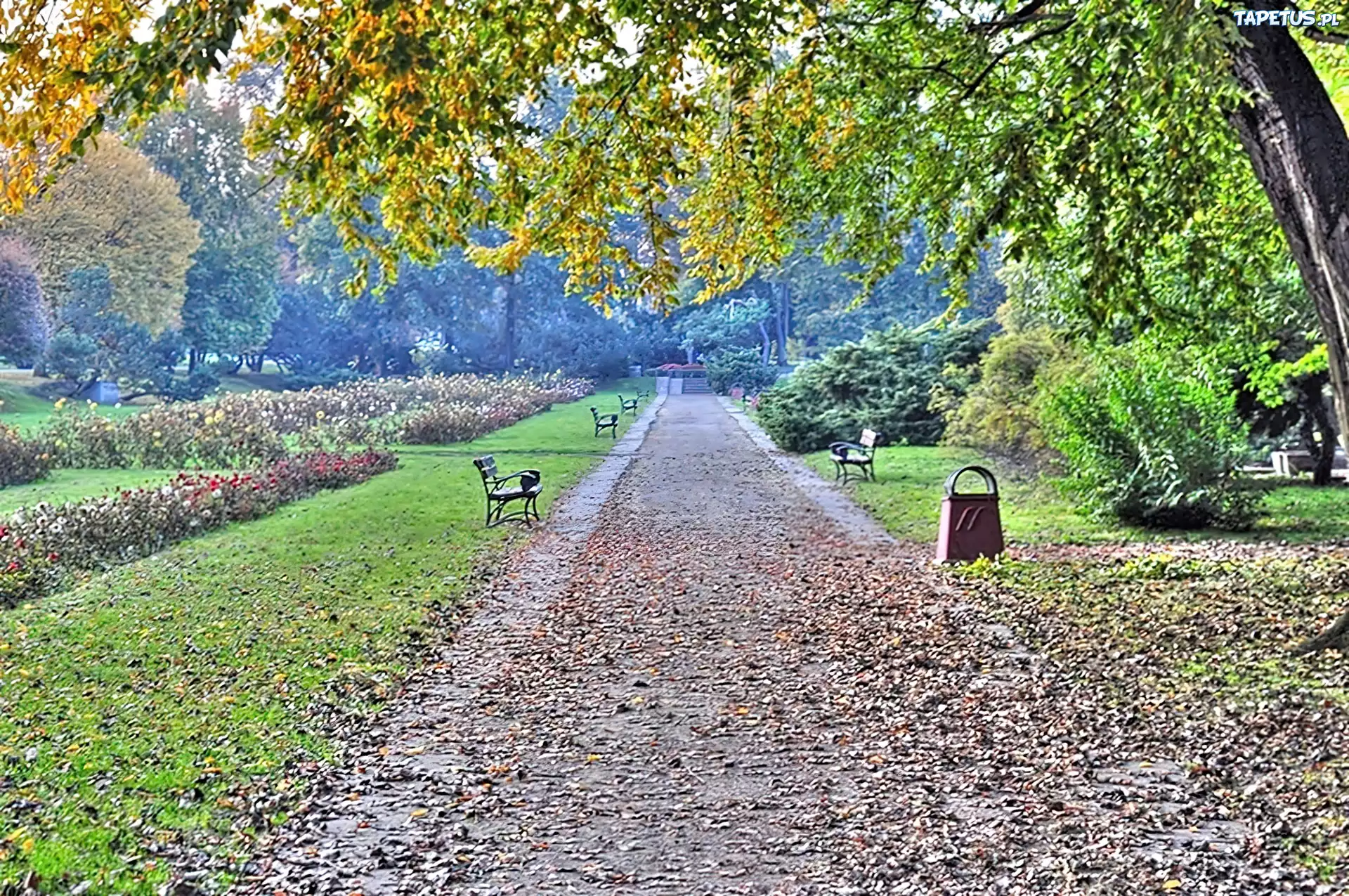 Park, Legnica