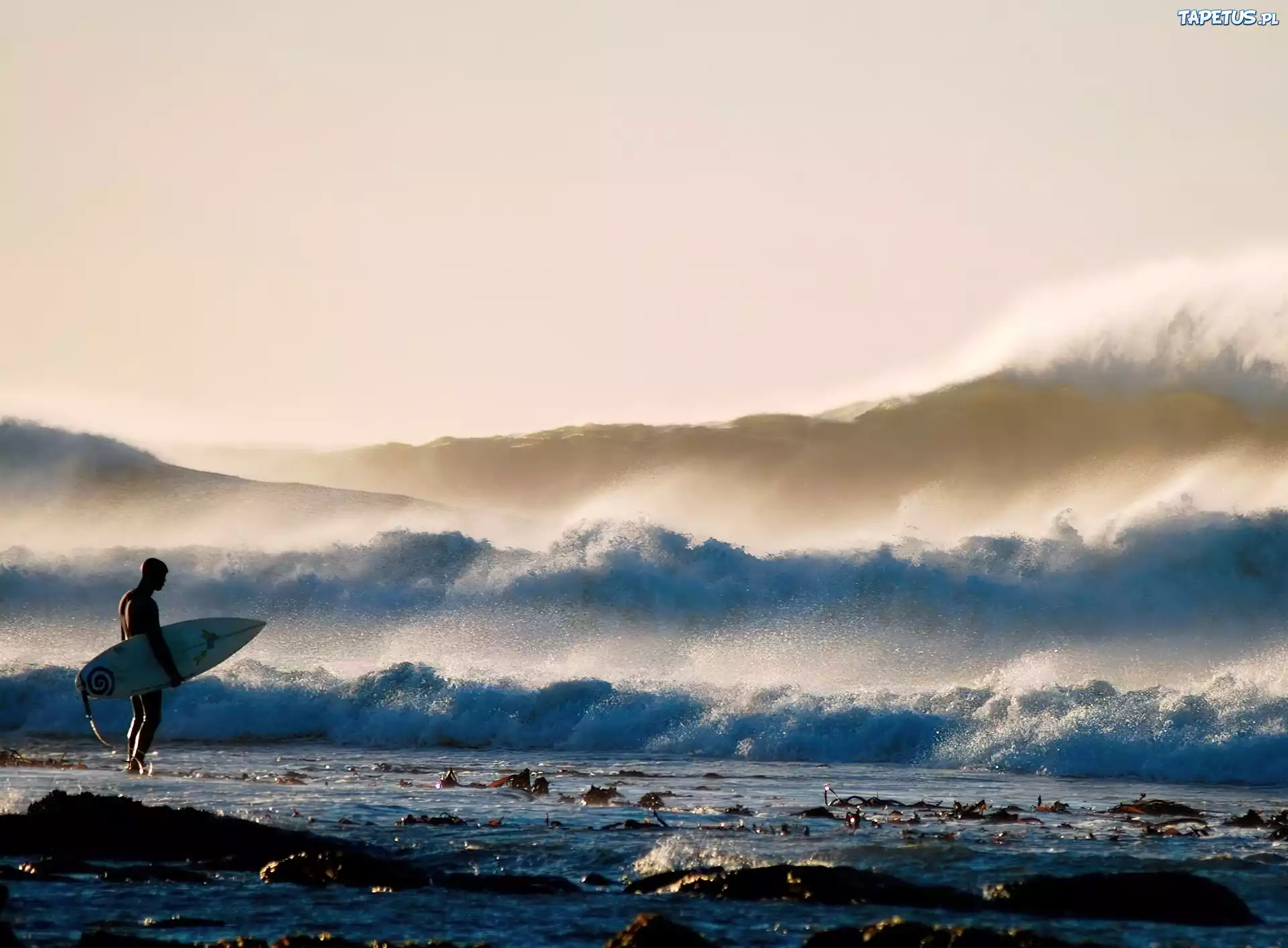 Surfer, Fala