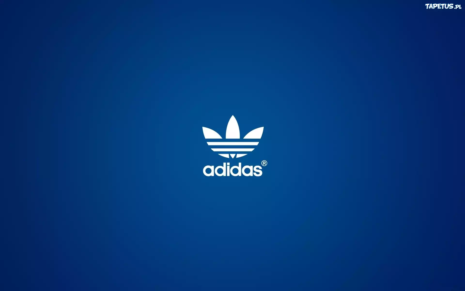 Logo, Adidas, Niebieskie, Tło