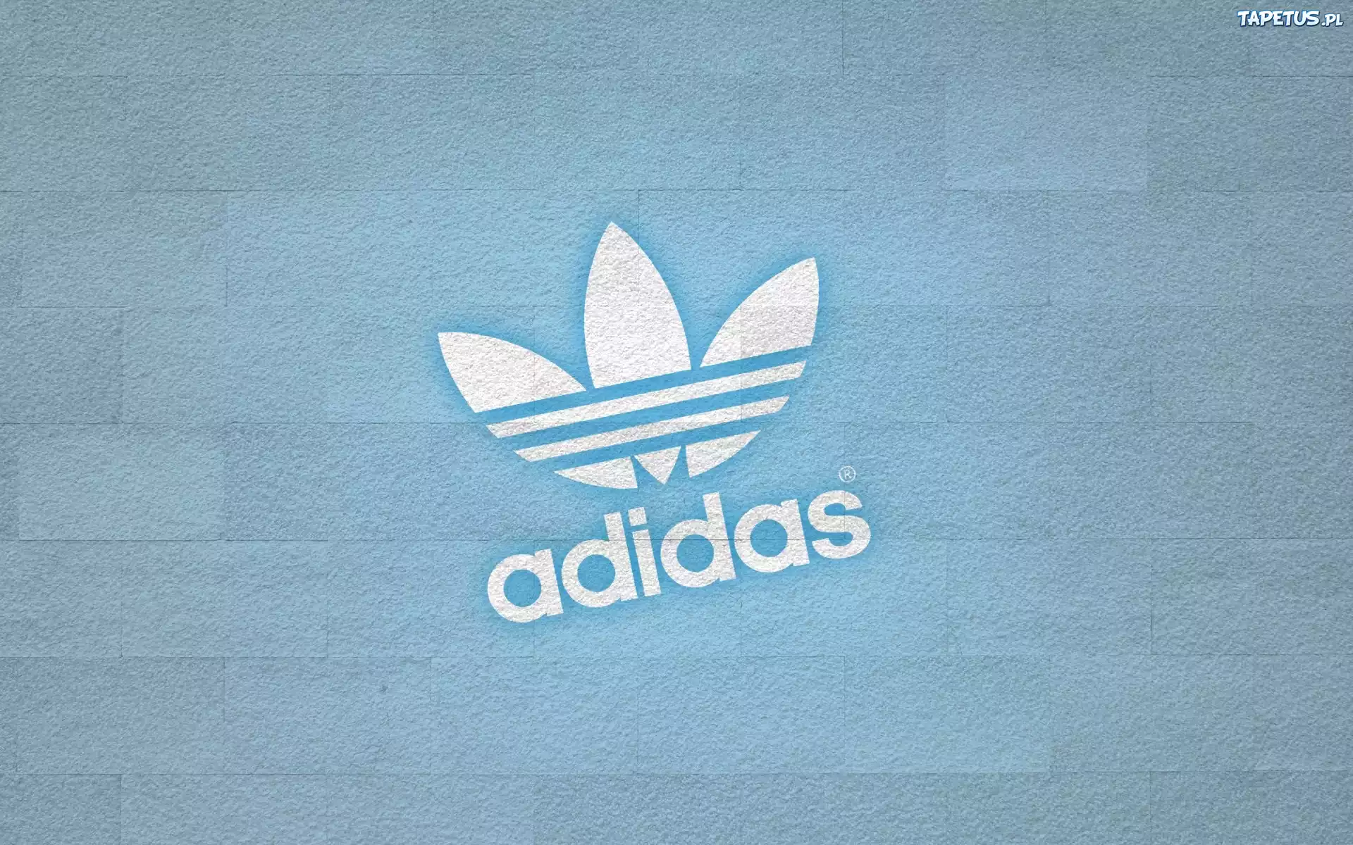 Jasnoniebieskie, Tło, Adidas