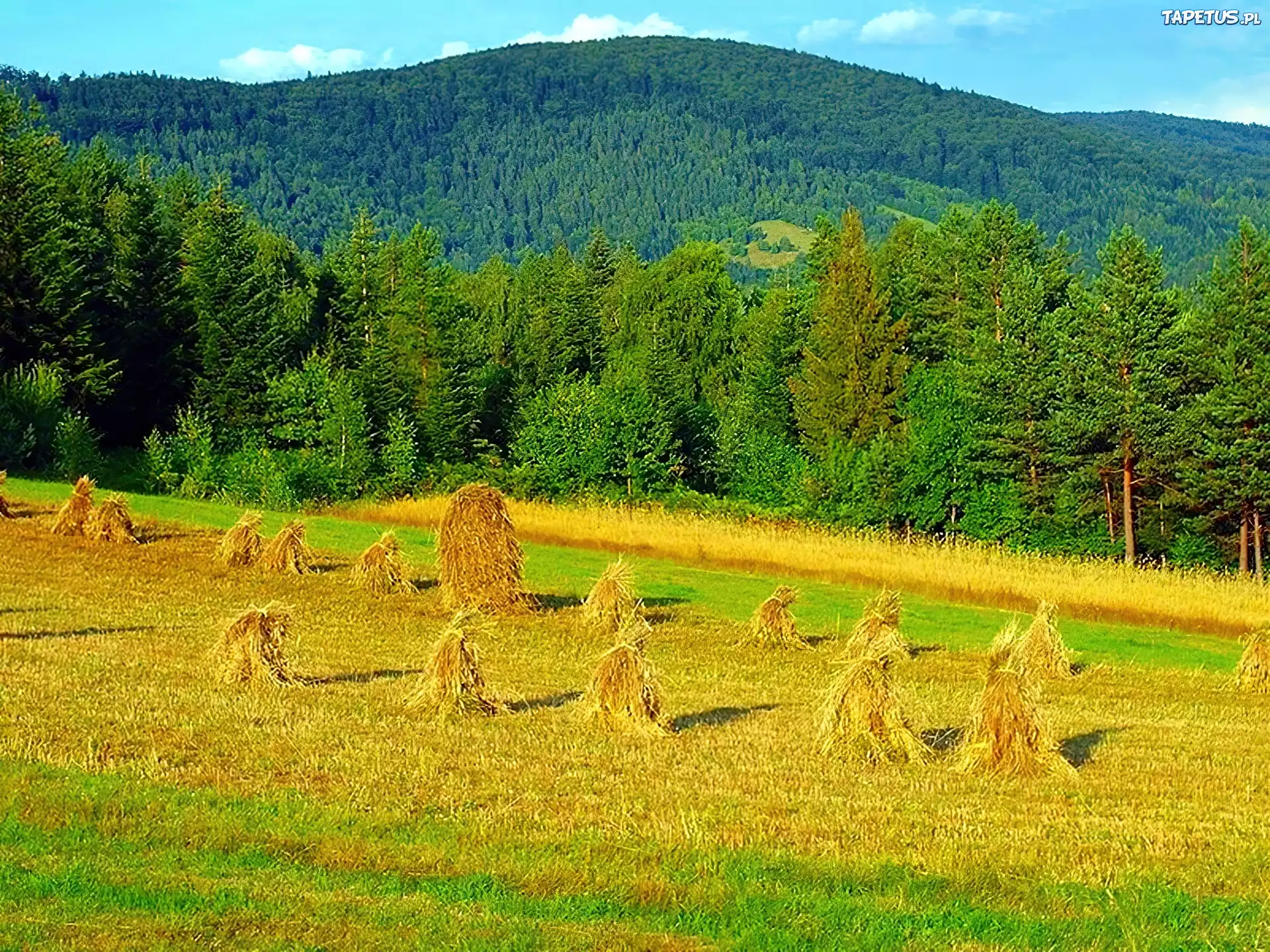 Kopki, Sianno, Łysa, Góra
