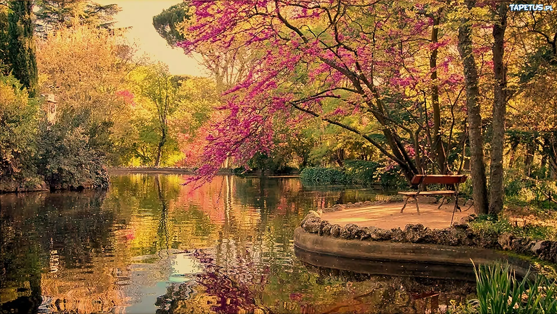 Rzeka, Park, Ławeczka