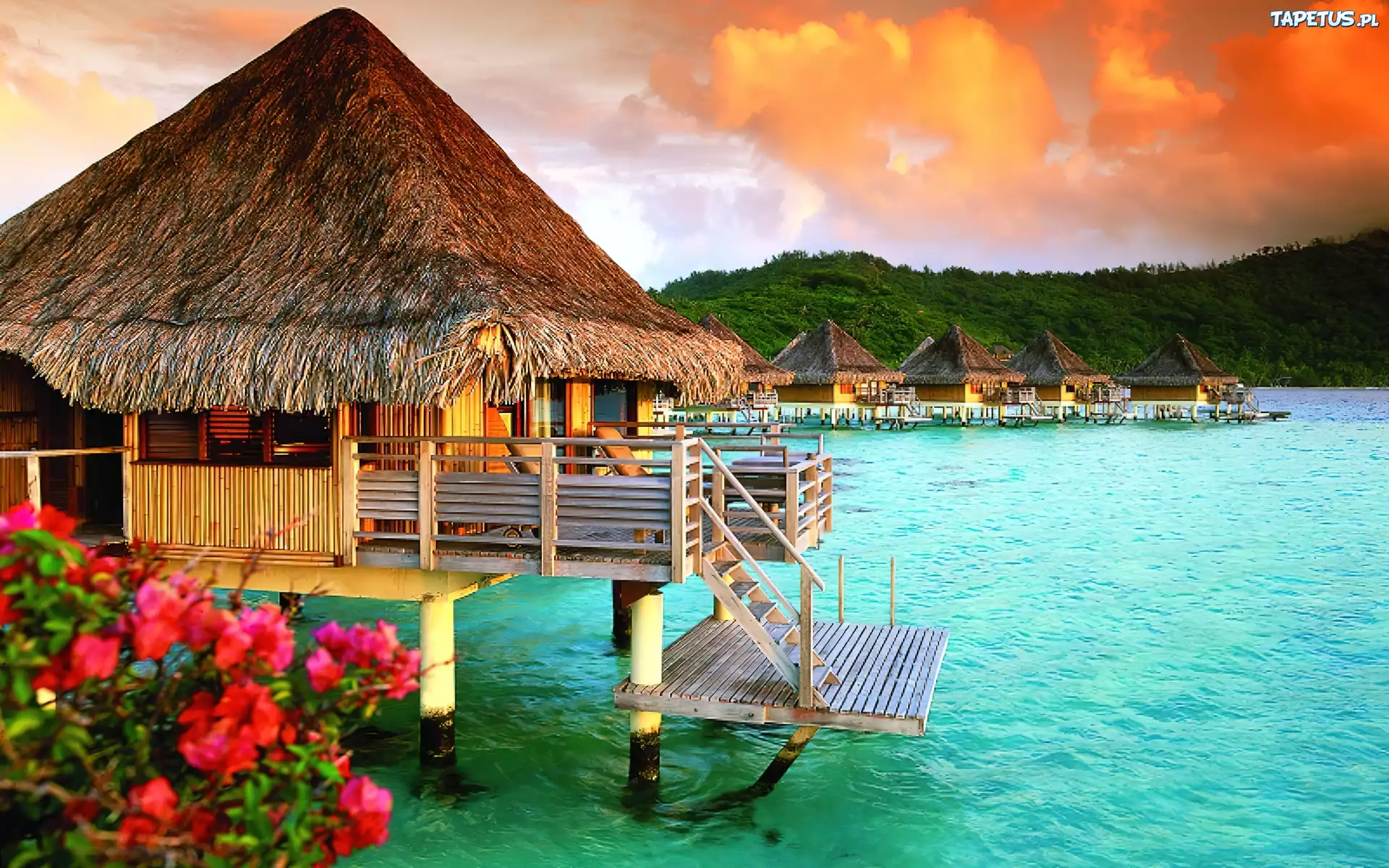 Polinezja, Bora Bora, Bungalow