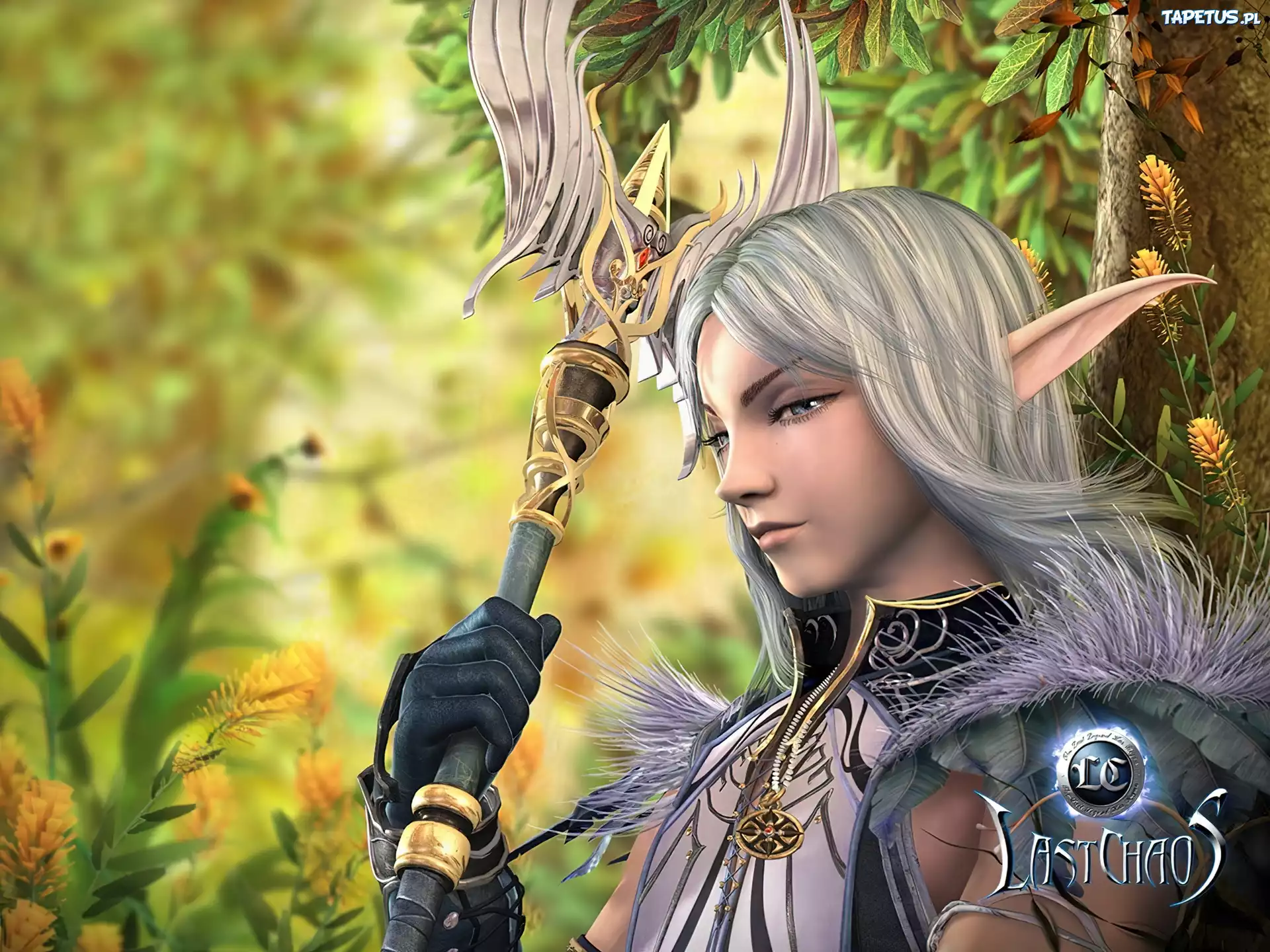 Elf, Medalion, Last, Chaos