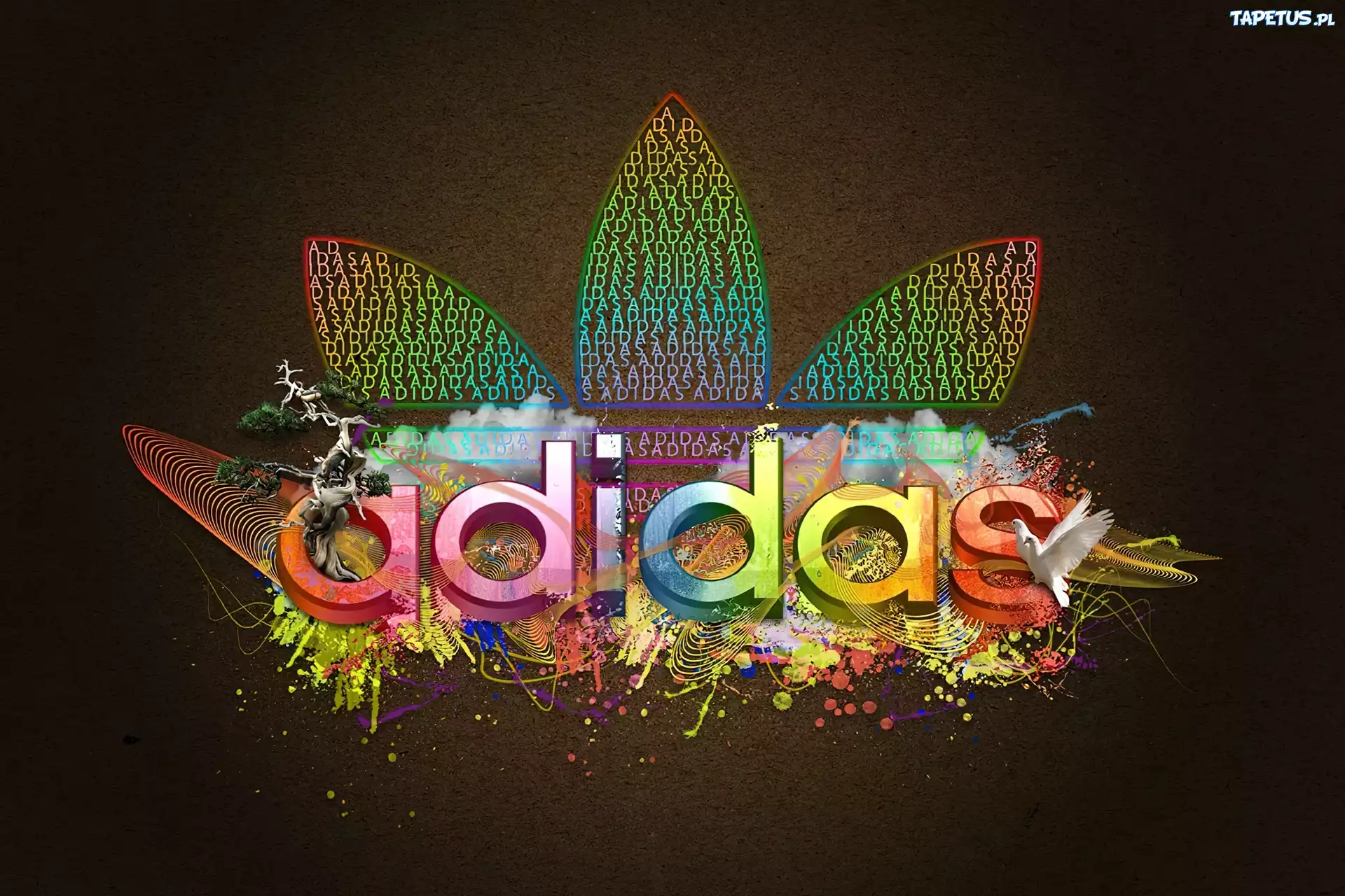 Kolorowe, Logo, Adidasa, Ptaki