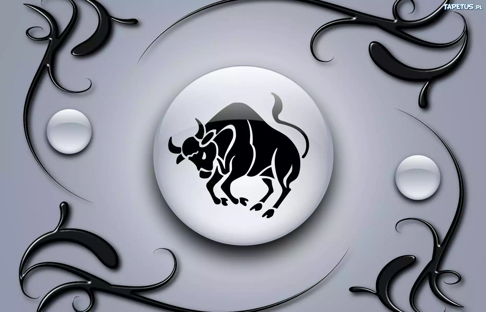 Znak, Zodiaku, Byk