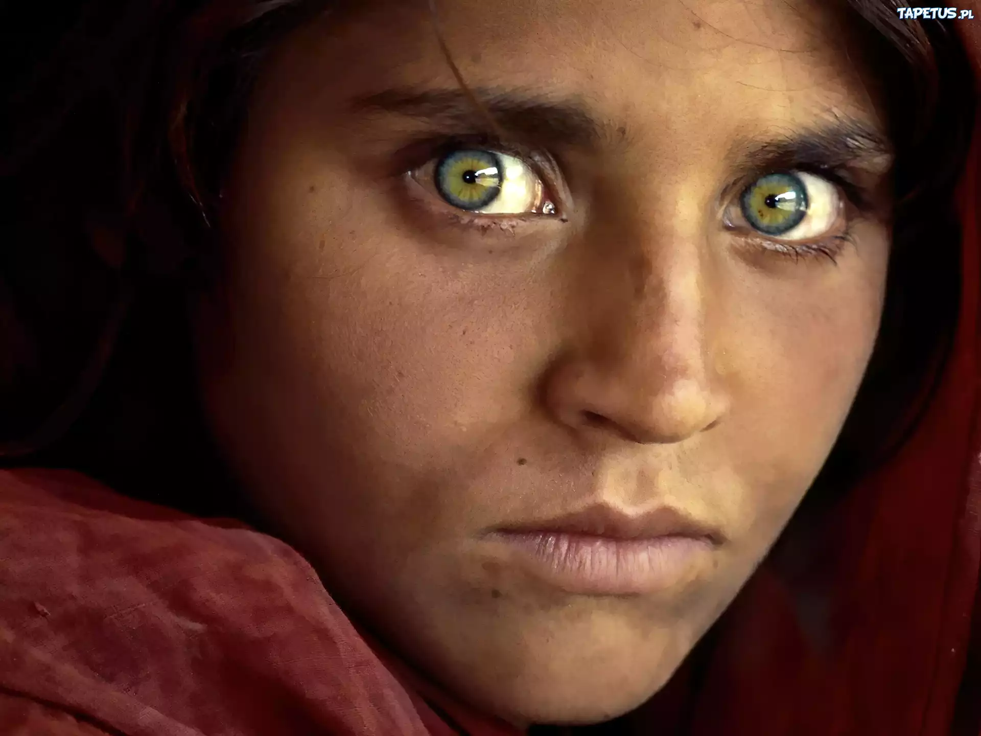 Глаза у федора выразительные взгляд прям суров. Шарбат Гула 2021. Стив МАККАРРИ Шарбат Гула. Шарбат Гула National Geographic. Стив МАККАРРИ Афганская девочка.