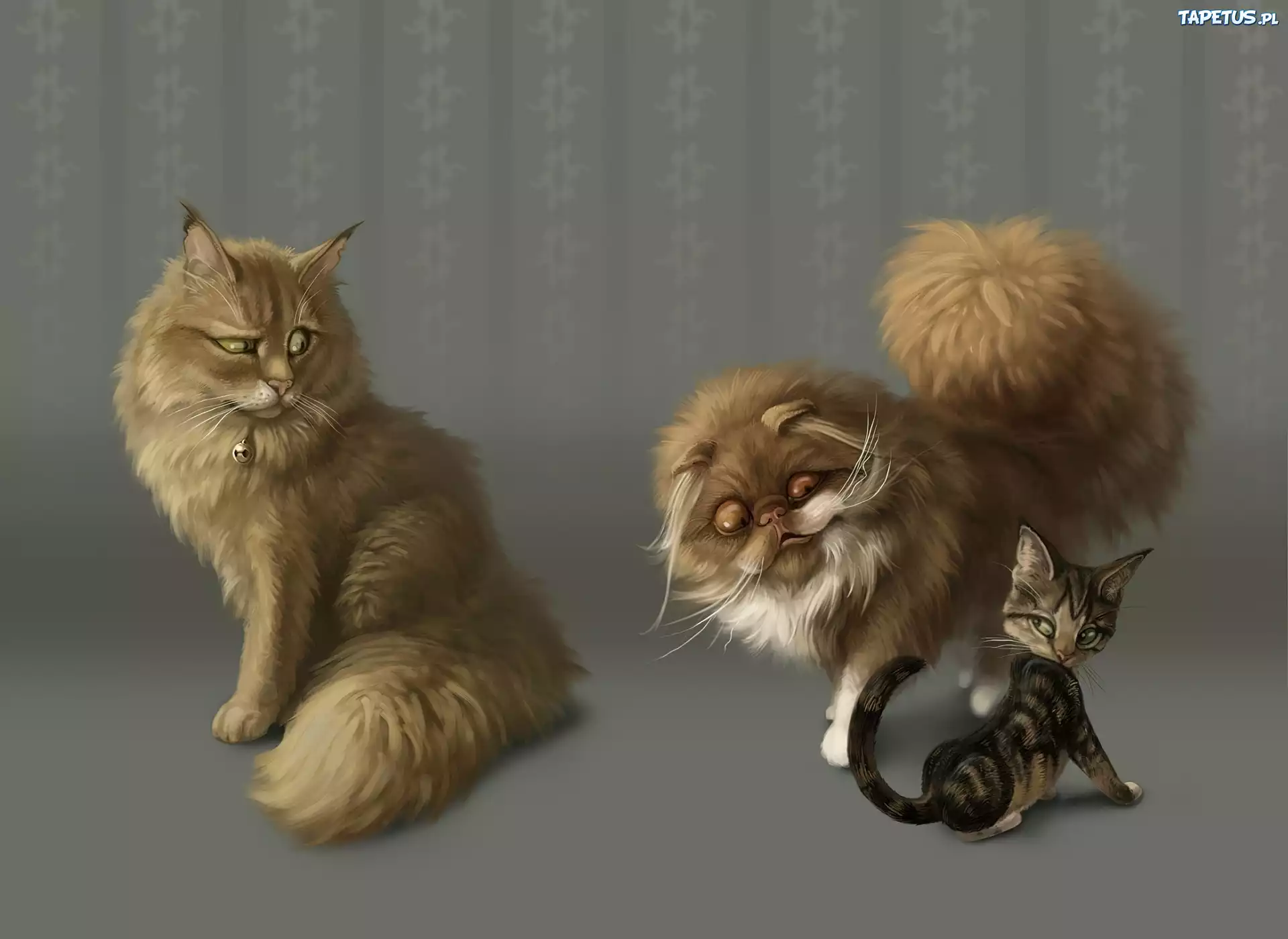 Trzy, Koty, Grafika