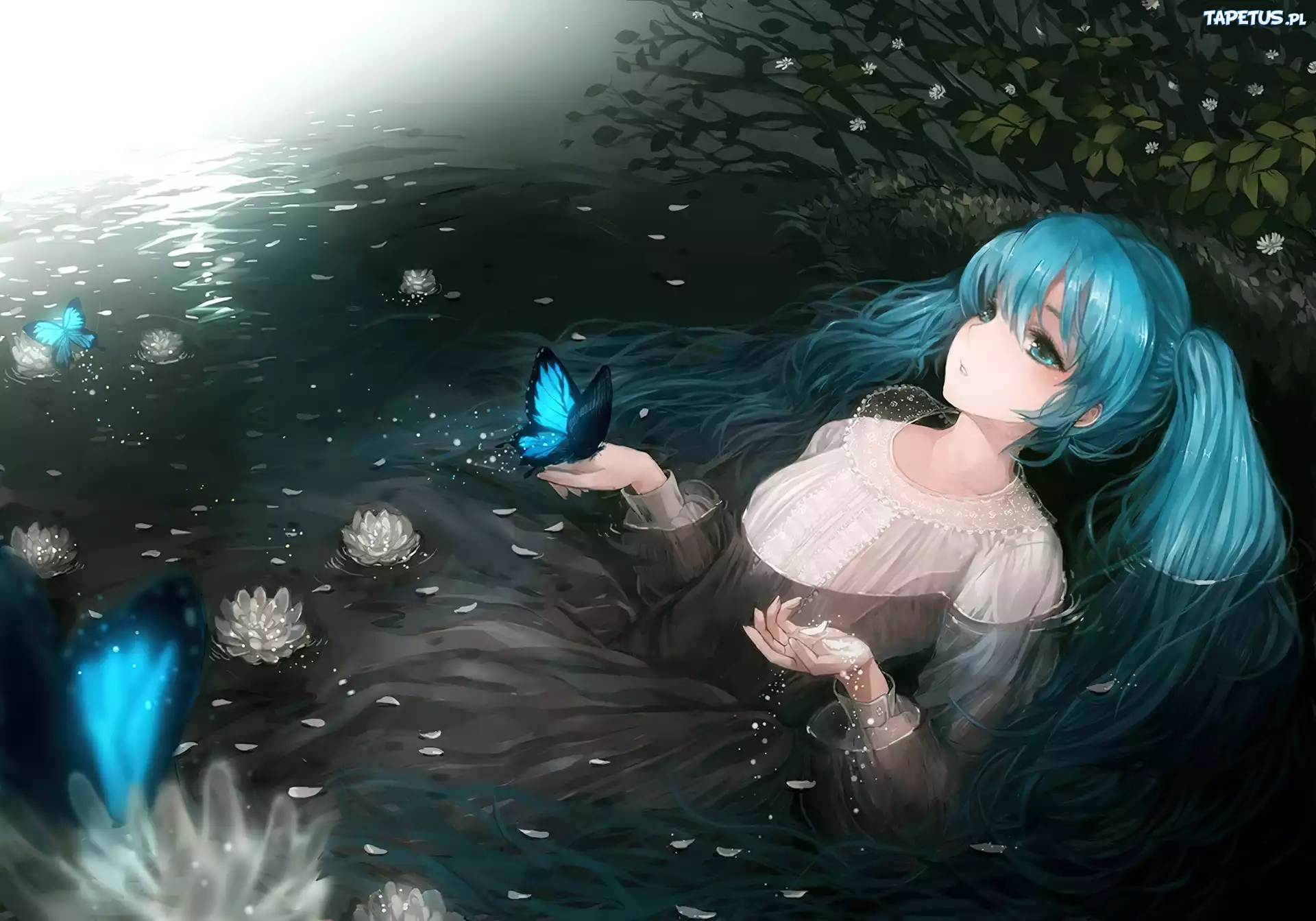 Hatsune Miku, Woda, Motyl