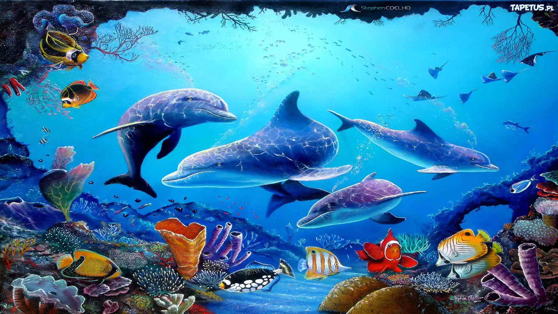 Ryby, Delfiny, Rafa