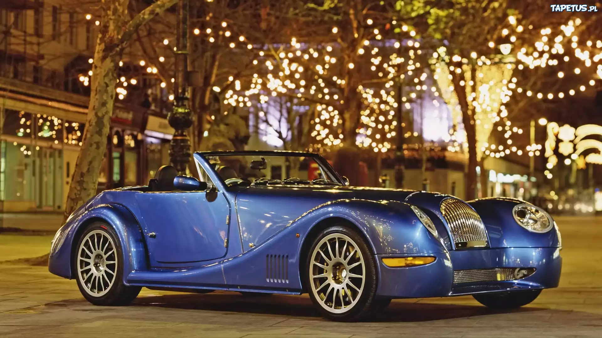 Niebieski, Morgan