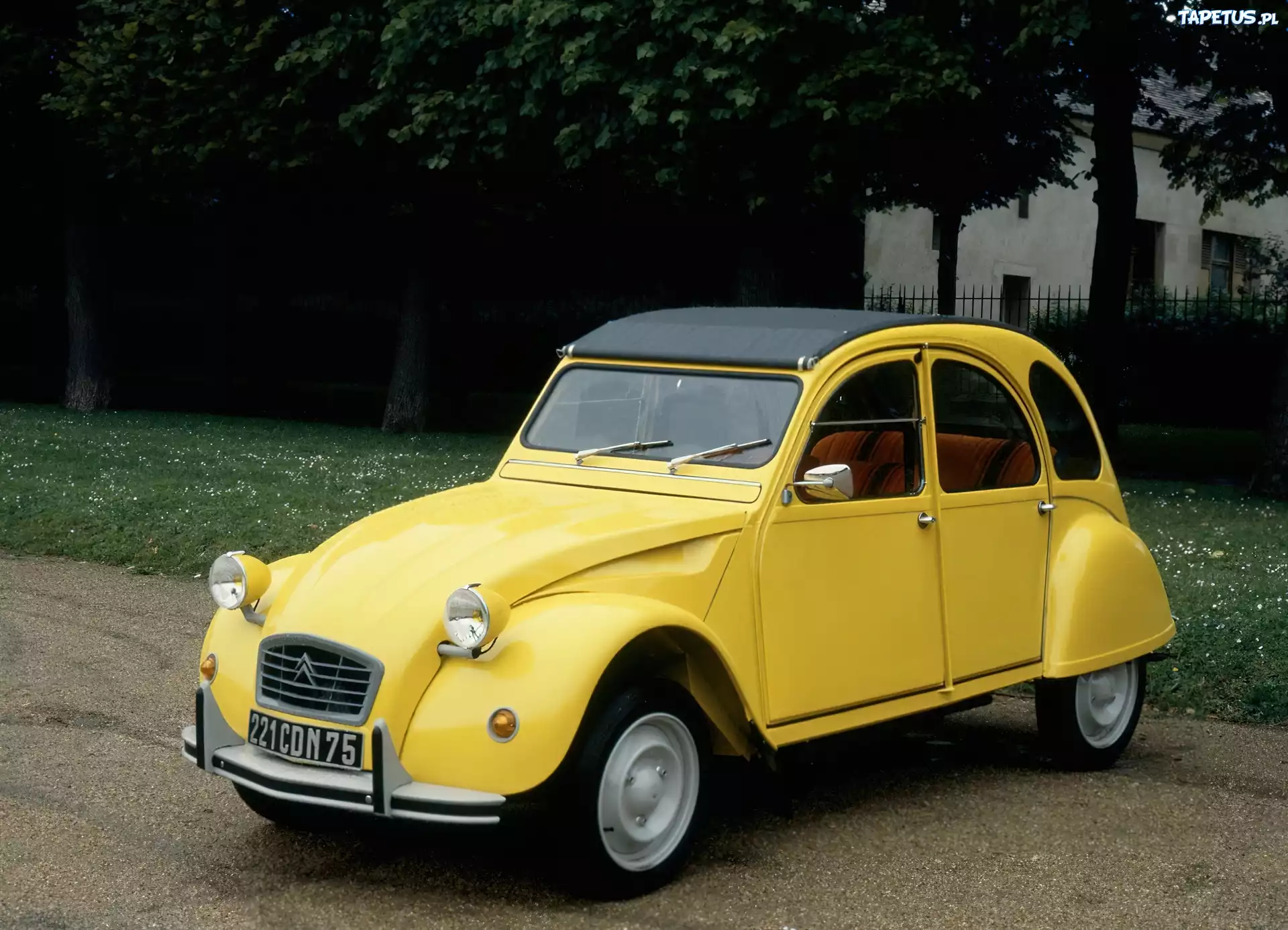 Żółty, Citroen 2CV Special, Zabytkowy