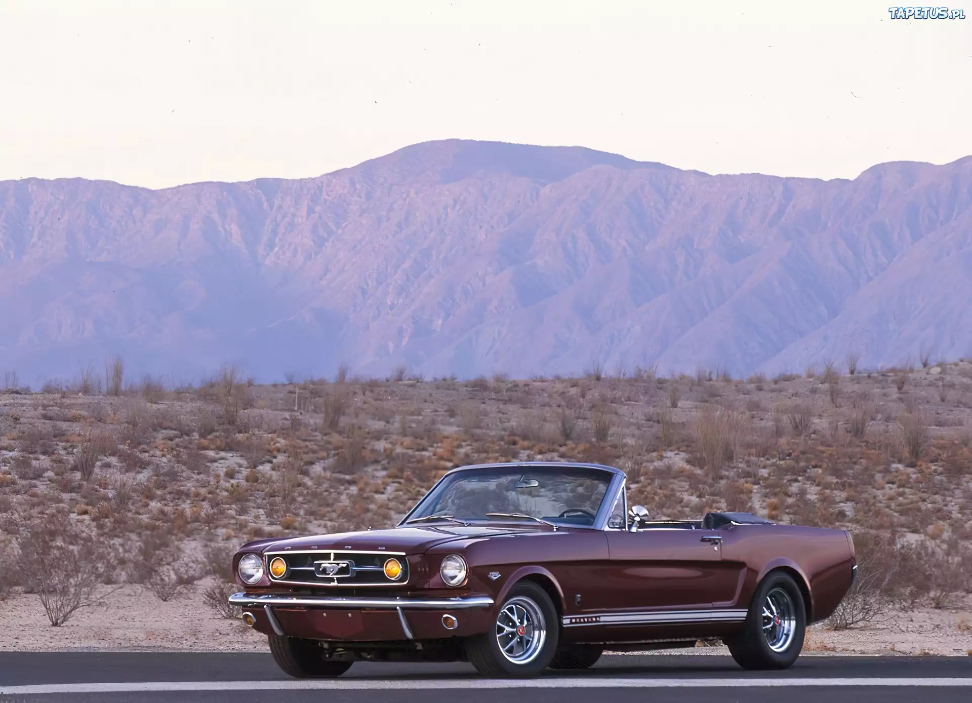 Wiśniowy, Ford Mustang K-Code