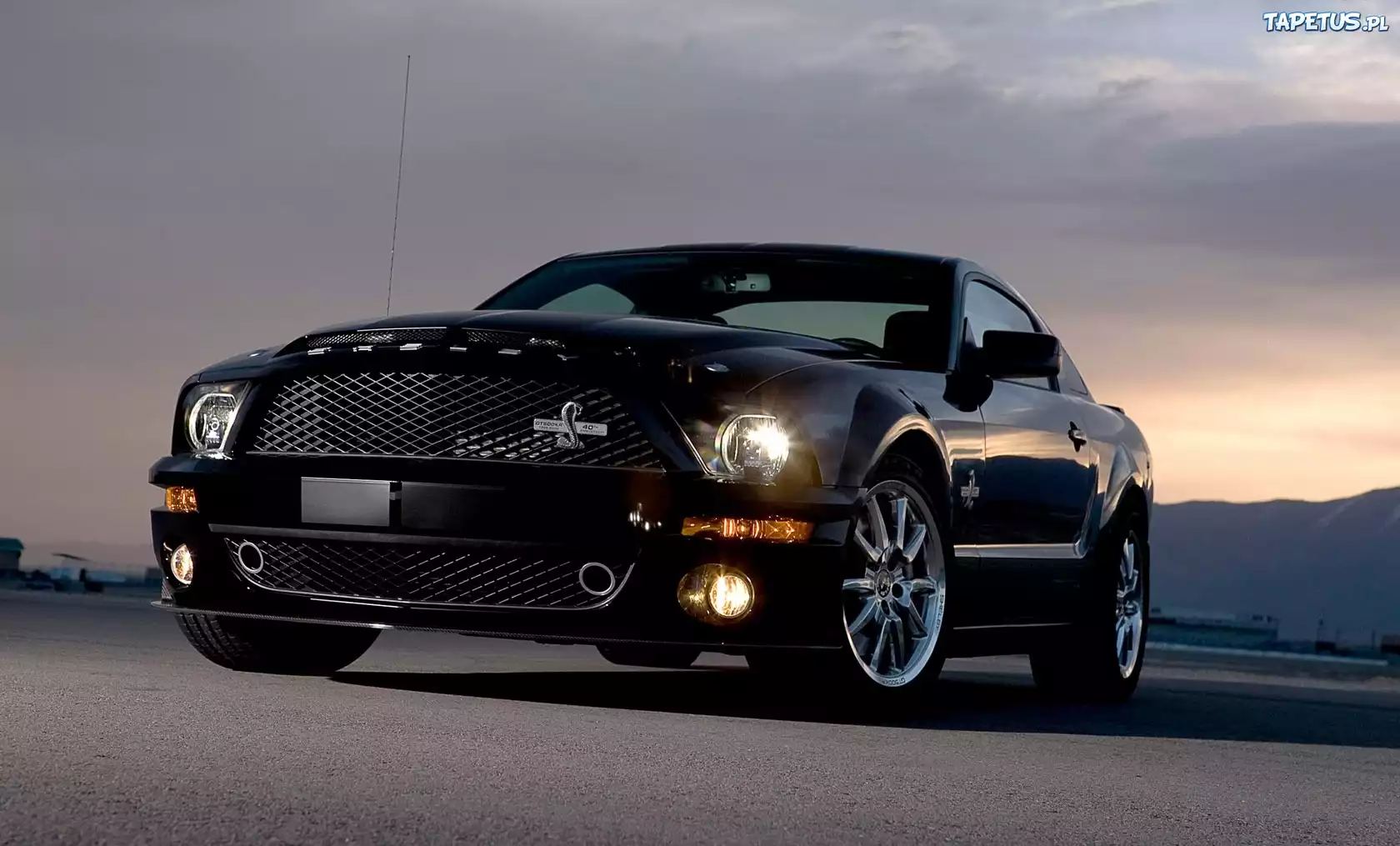 Ford mustange shelby 500