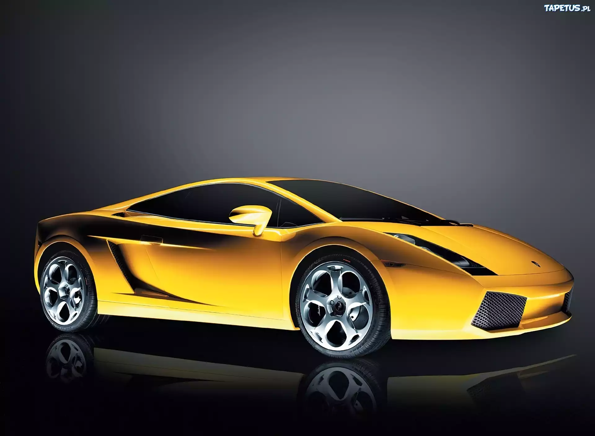 Lamborghini Gallardo, Grafika