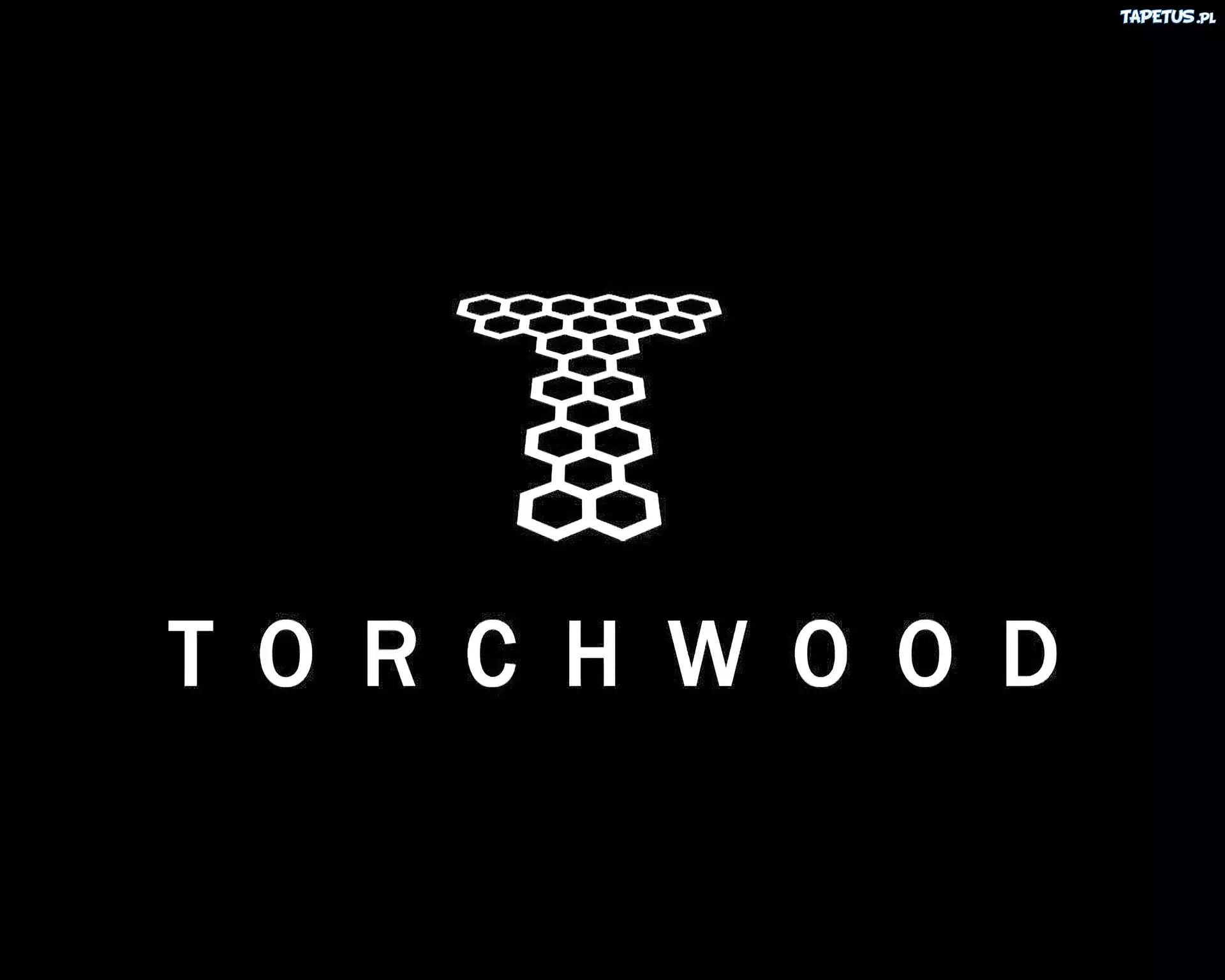 Torchwood, Serial