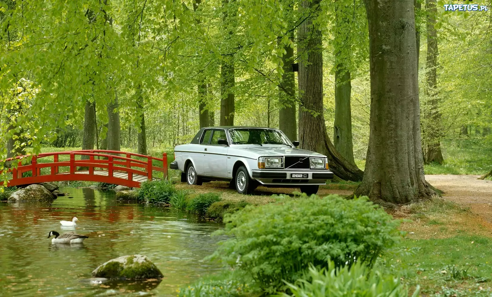Volvo 262 C