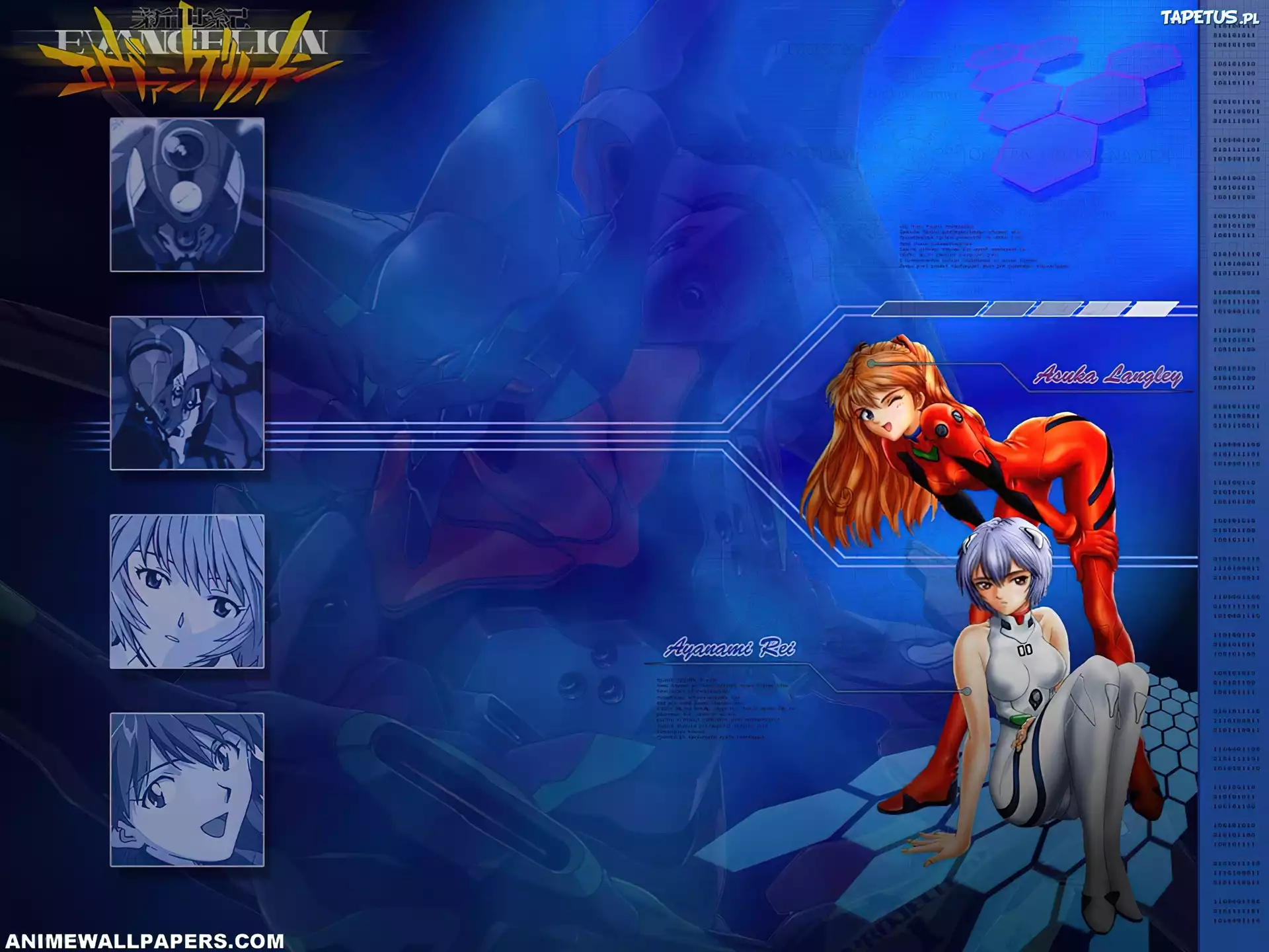 Neon Genesis Evangelion, kobiety, asuka, rei
