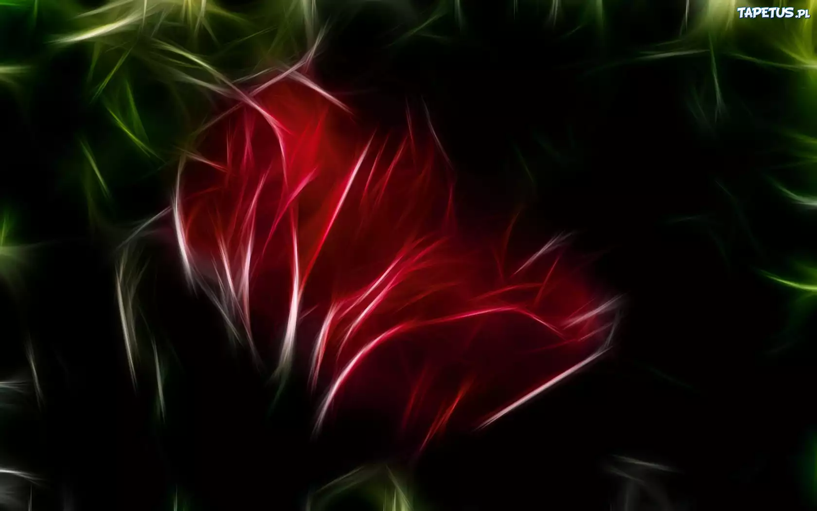 Czerwony, Kwiat, 3D