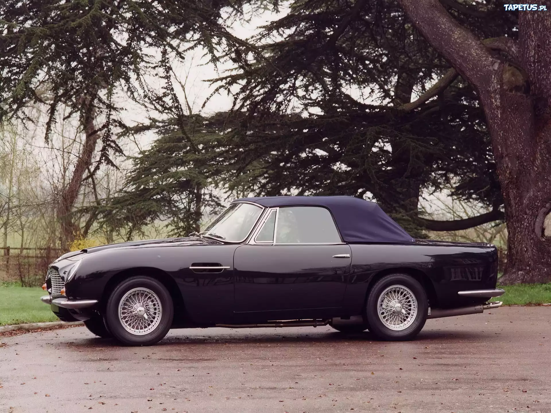 Bok, Samochodu, Aston Martin DB6, Volante