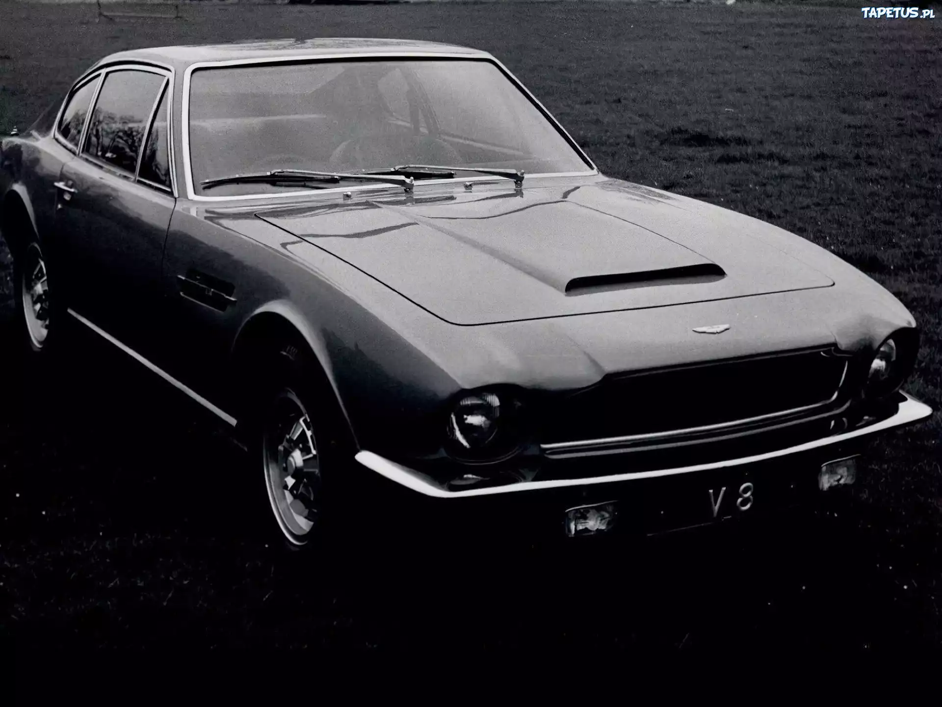 Aston Martin V8