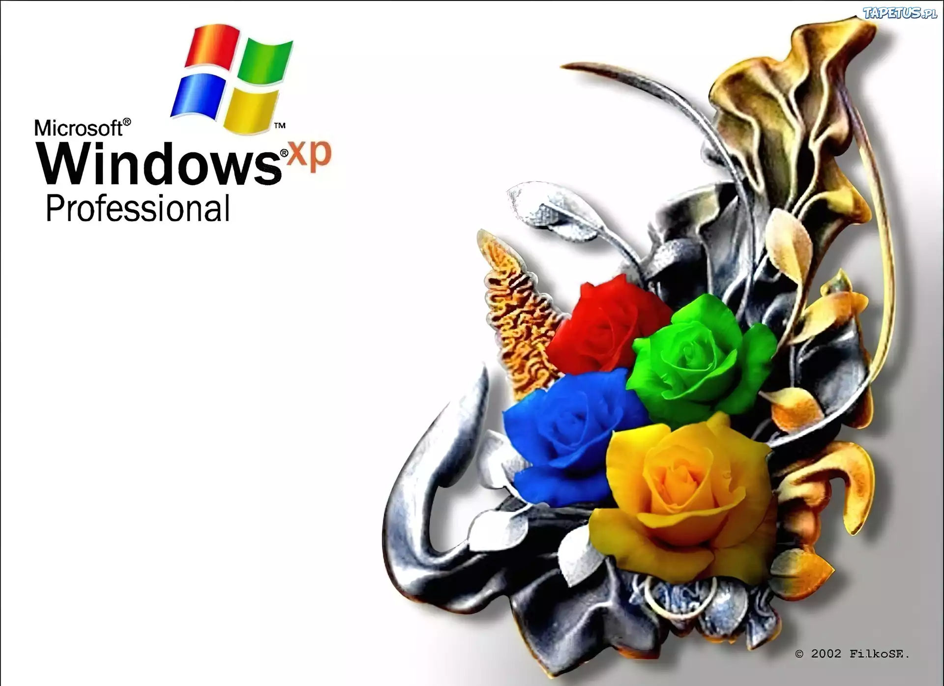Windows, XP, Wiązanka, Róż