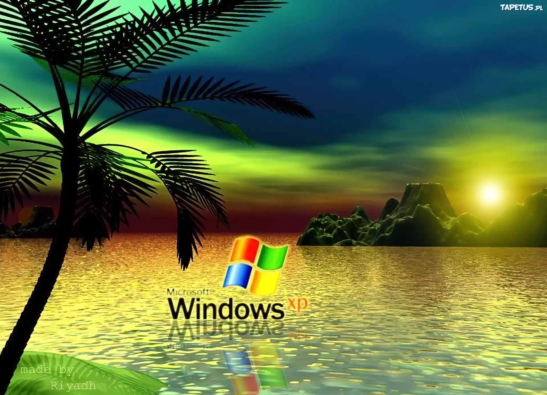 Logo, Windows, XP, Morze, Skały, Palma