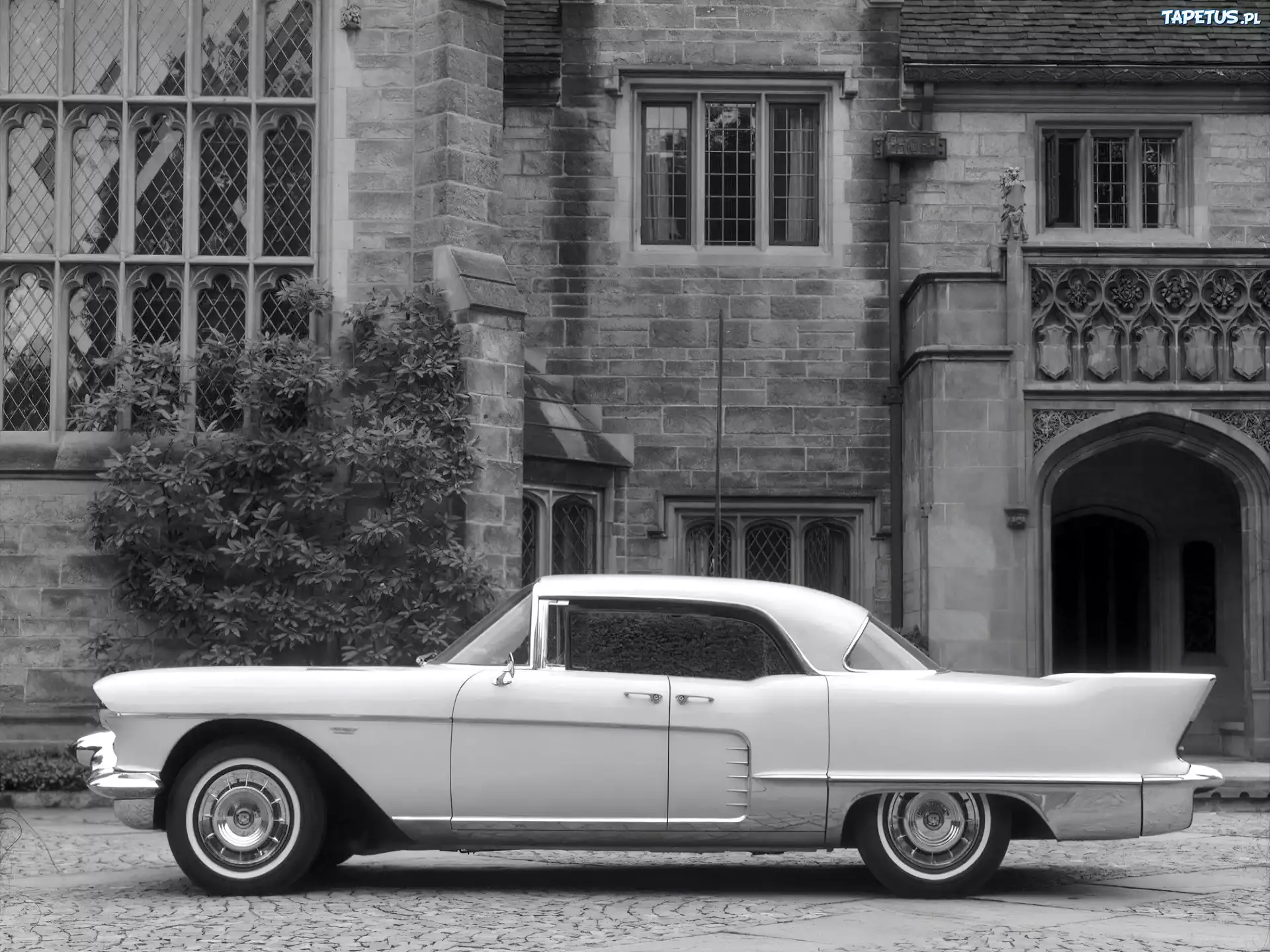 Cadillac Eldorado, Skrzydła