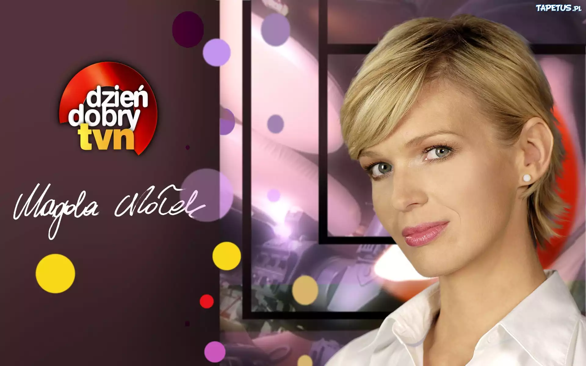 Magda Mołek, Dzień Dobry TVN