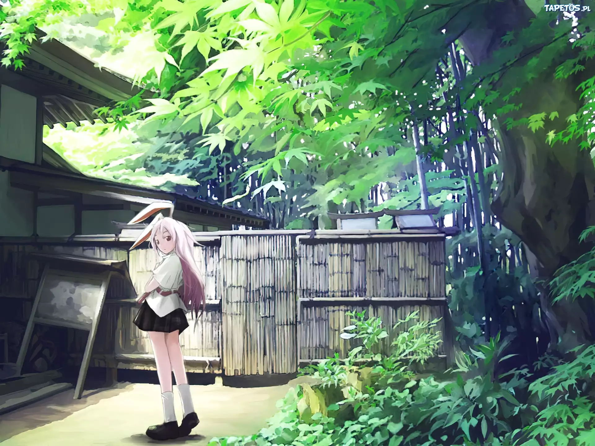 Dziewczyna, Anime, Spódniczka, Las, Dom