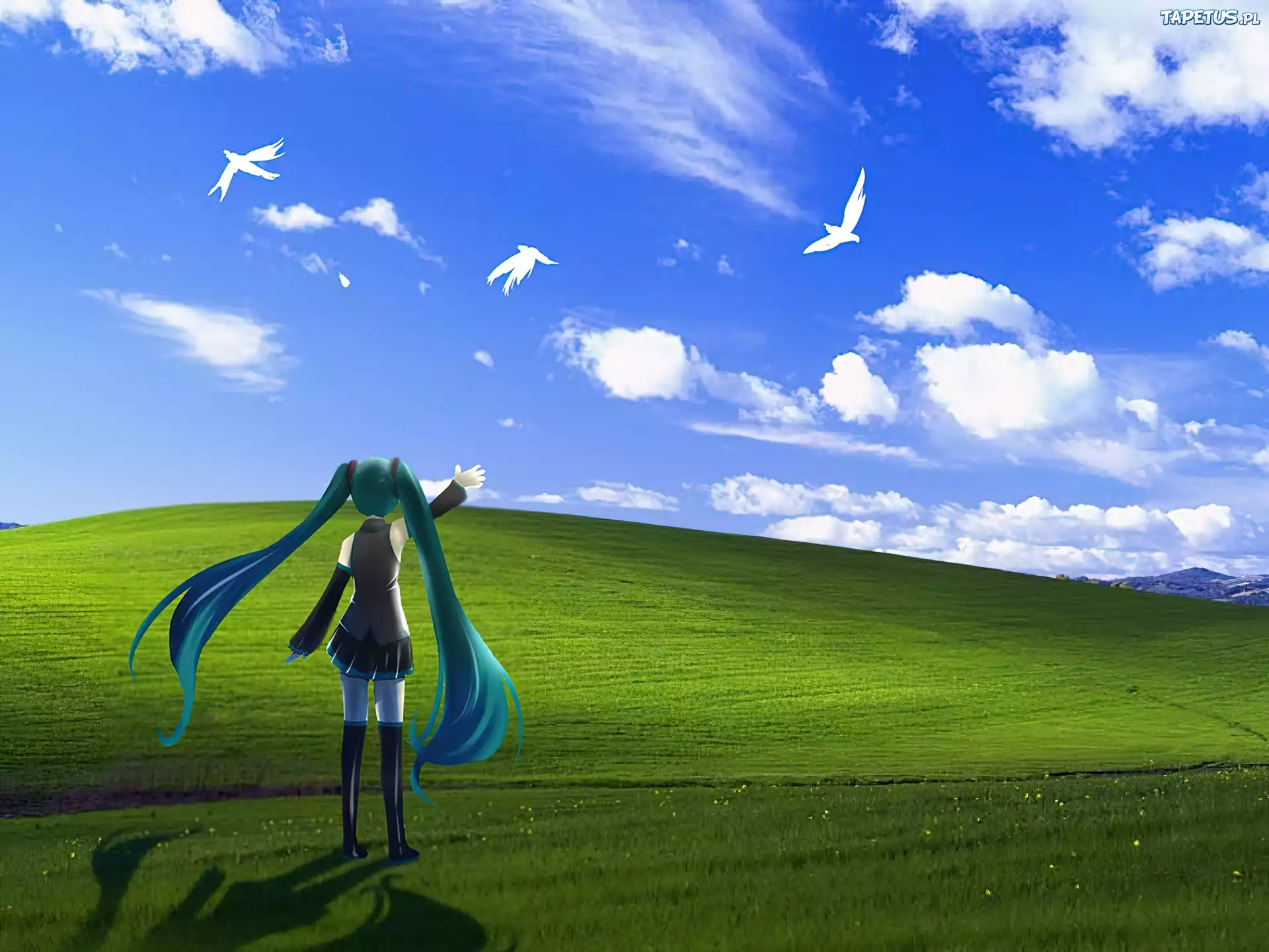 Miku Hatsune, Vocaloid, Windows XP, Ptaki