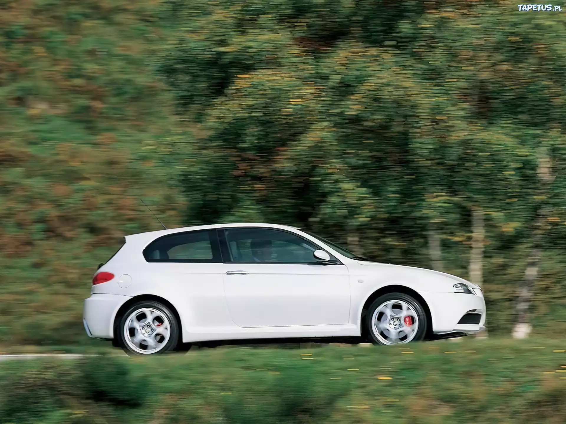 Biała, Alfa Romeo 156