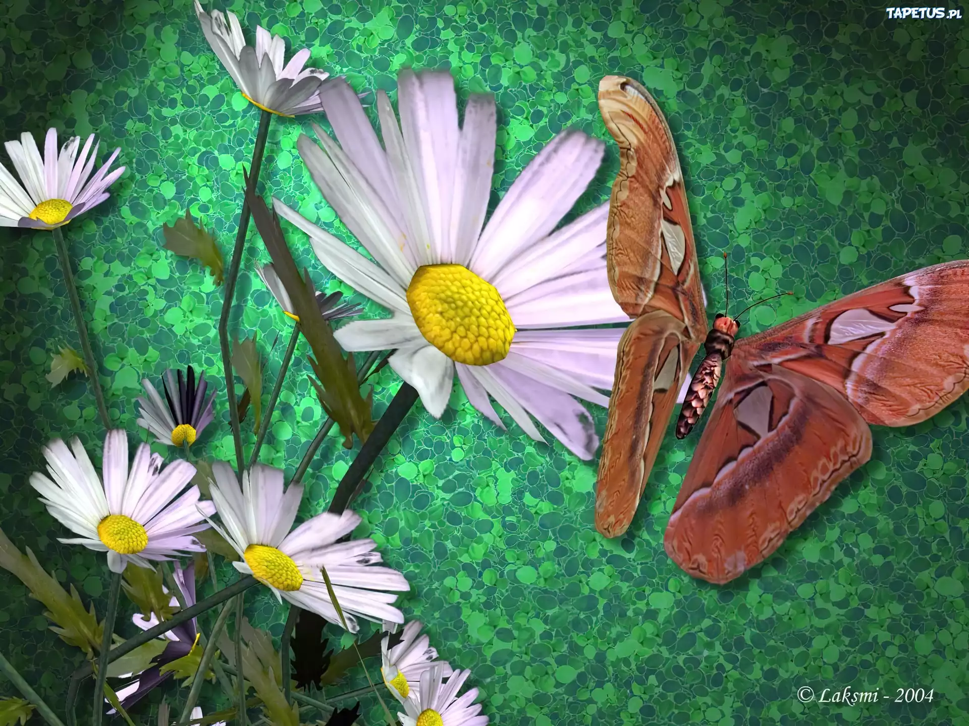 Kwiaty, Motyl, 3D