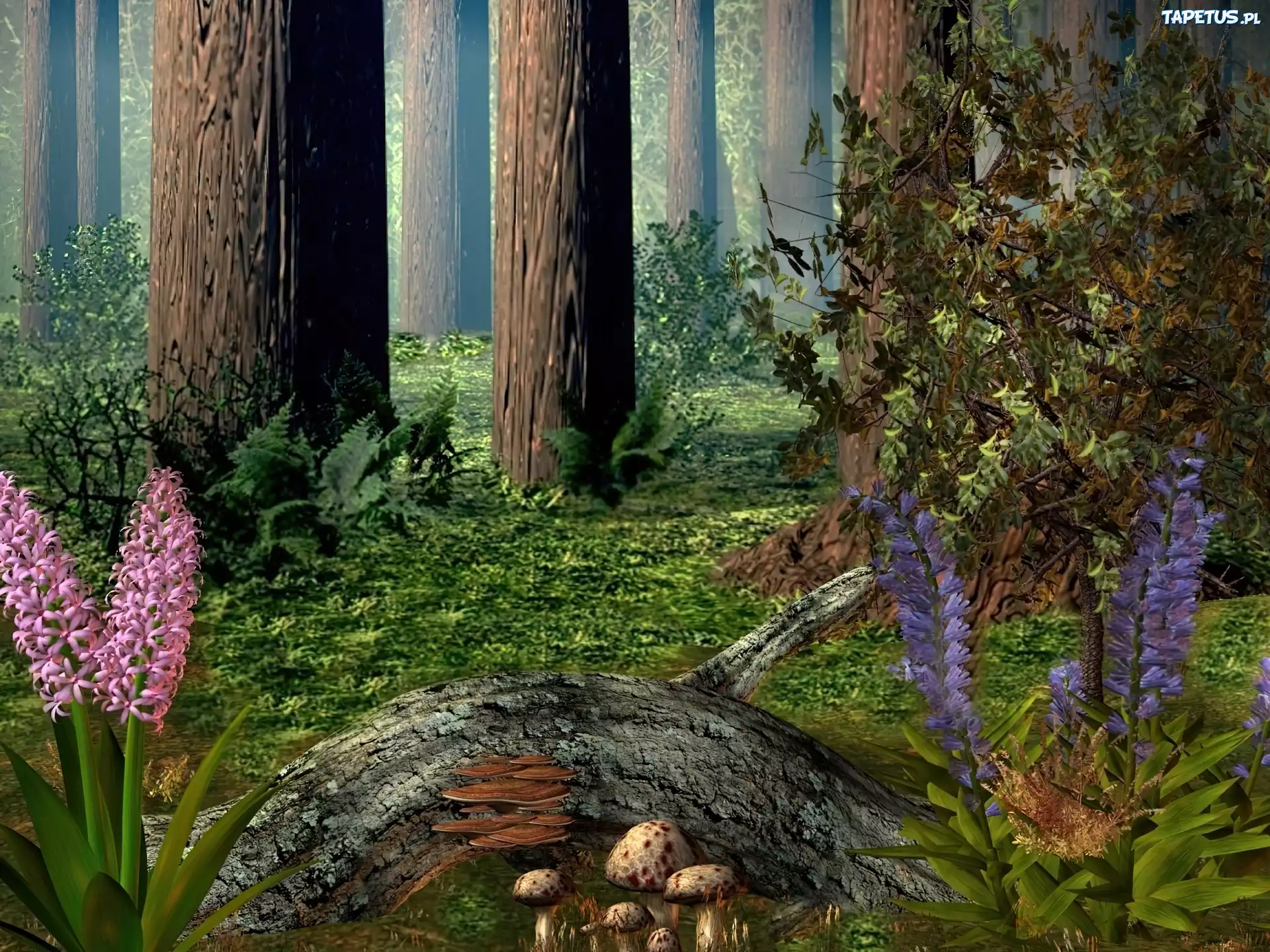 Las, Grafika 3D