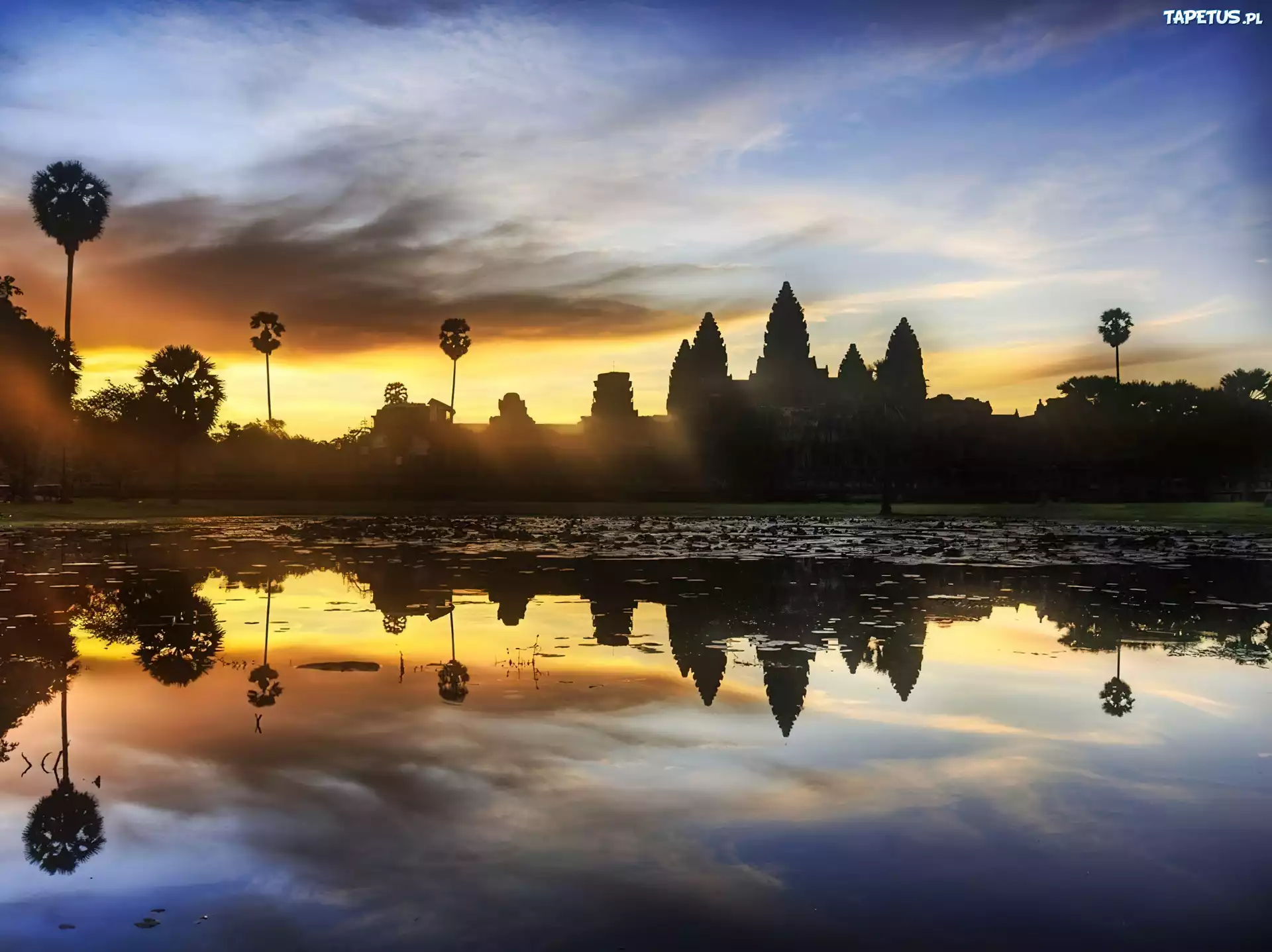 Świątynie, Angkor, Dżungla, Kambodża