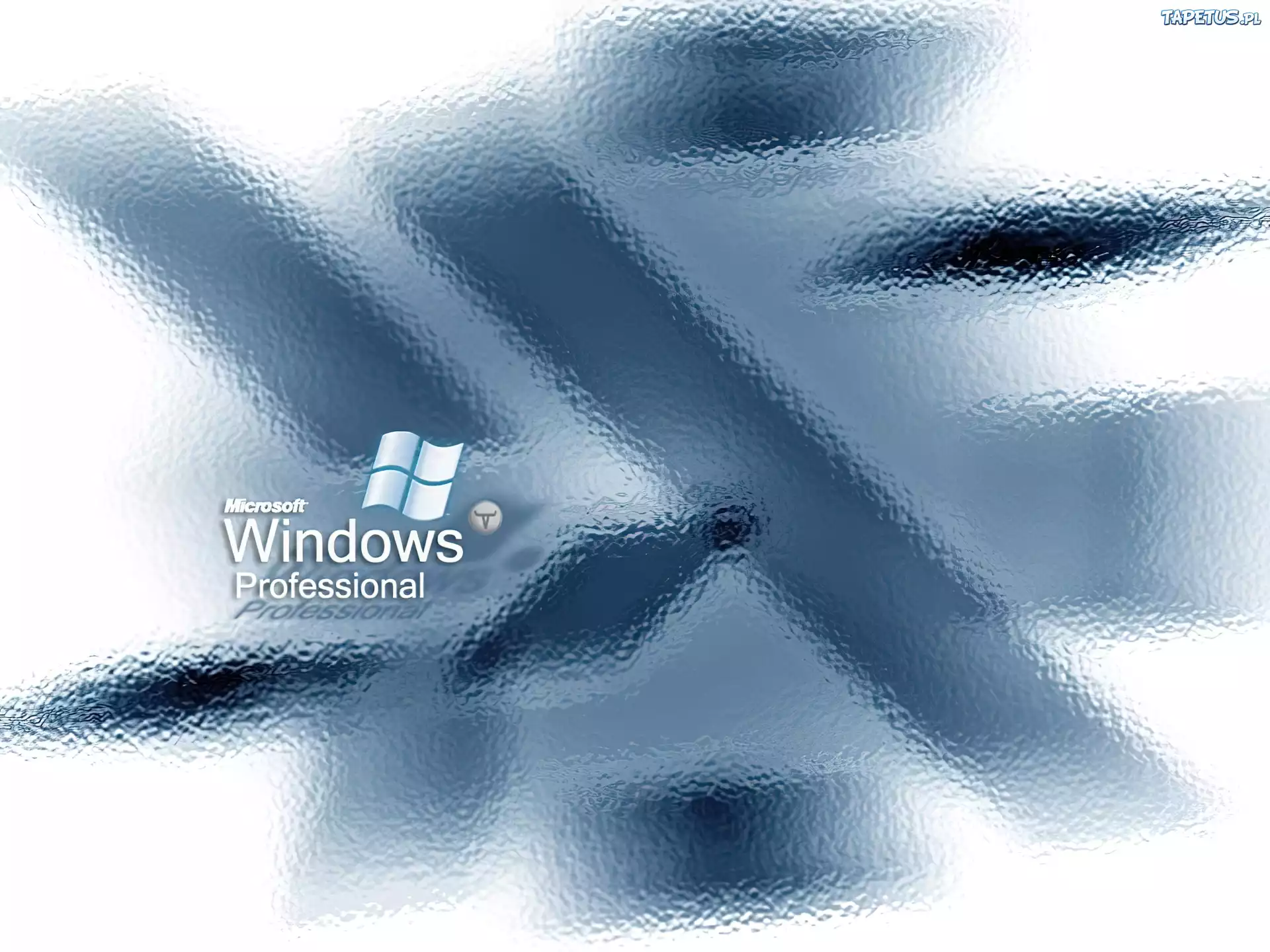 Windows XP