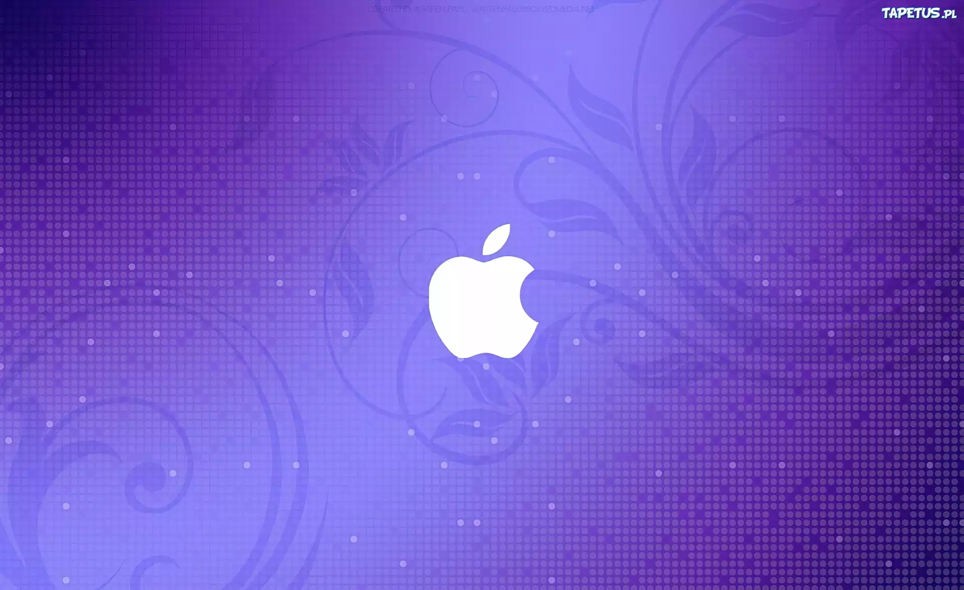 Logo, Apple, Fioletowe, Tło