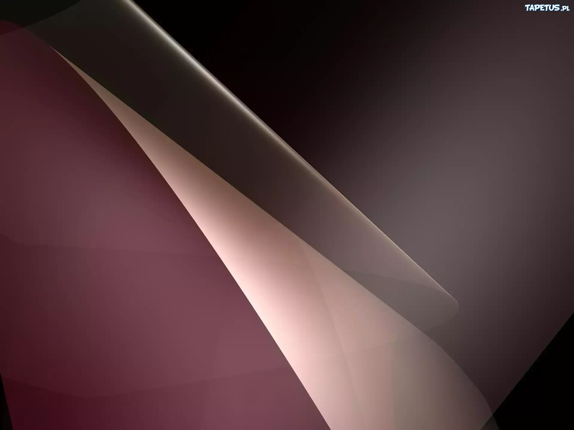 Tekstura