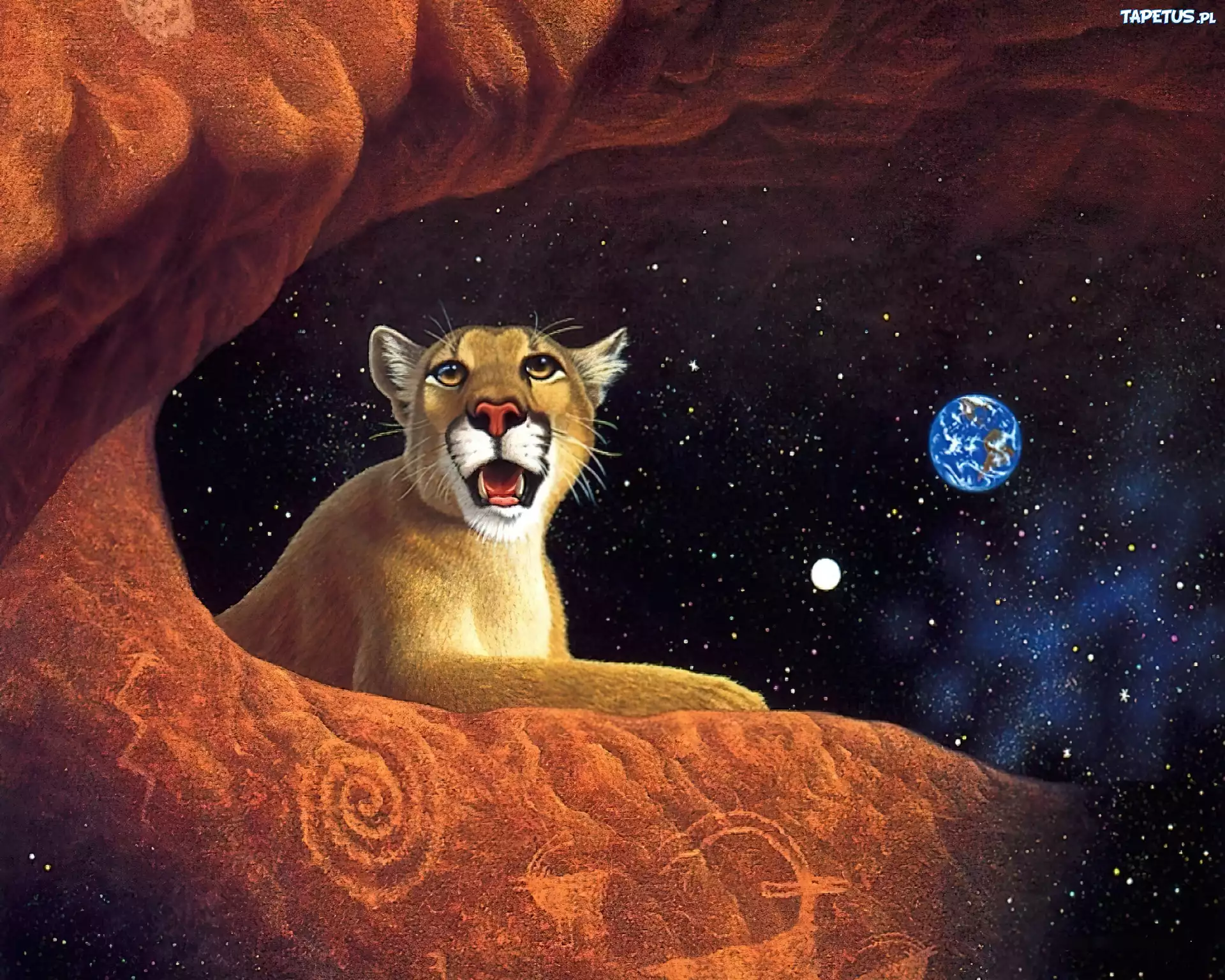 Puma, Skała, Planeta, Niebo